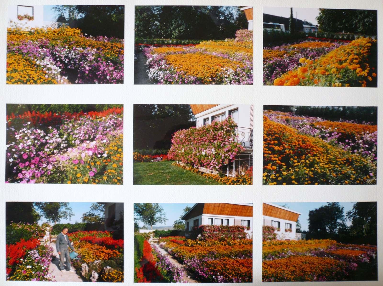 Le jardin de Monsieur Vincent