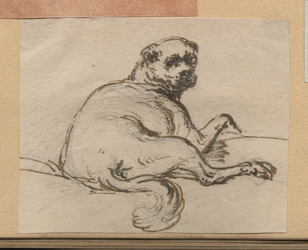 Chien couché