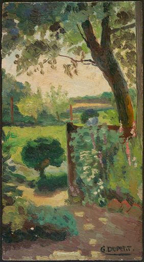 Petit coin de jardin : le Buis