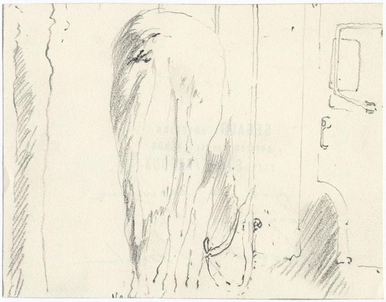 Parc de la Verrerie/concours hippique