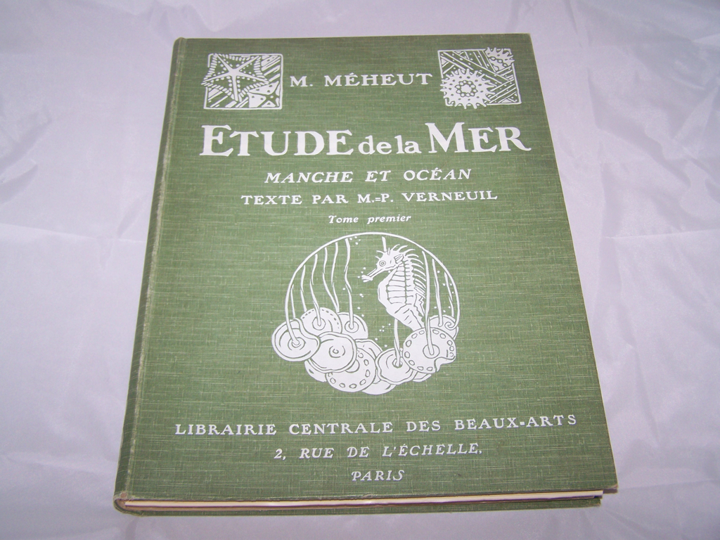 Etude de la mer. Faune et flore de la Manche et de l’océan