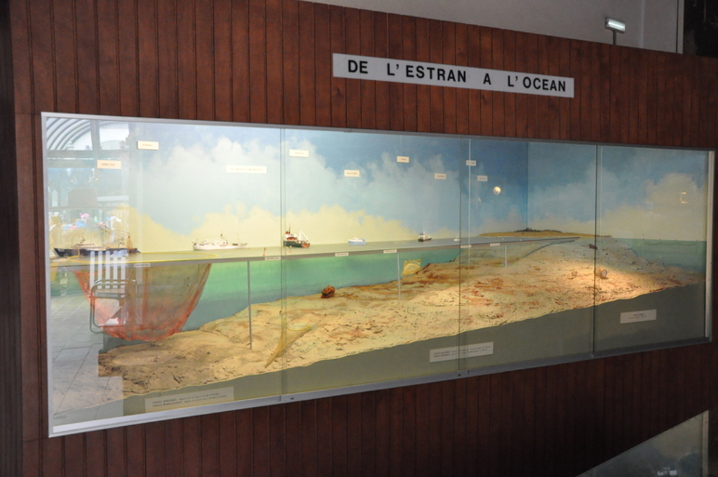 De l'estran à l'océan