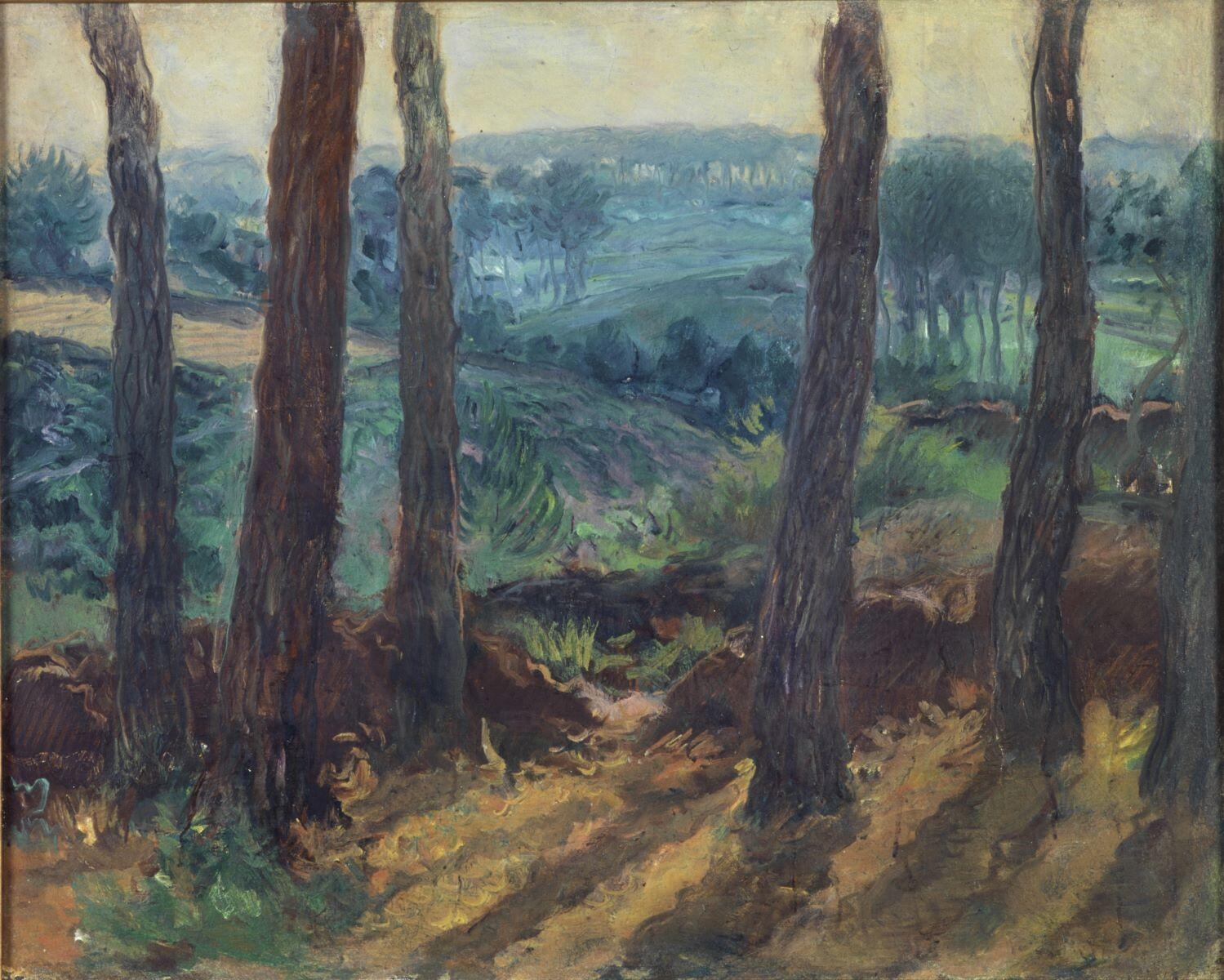 Les Pins à Kerfany