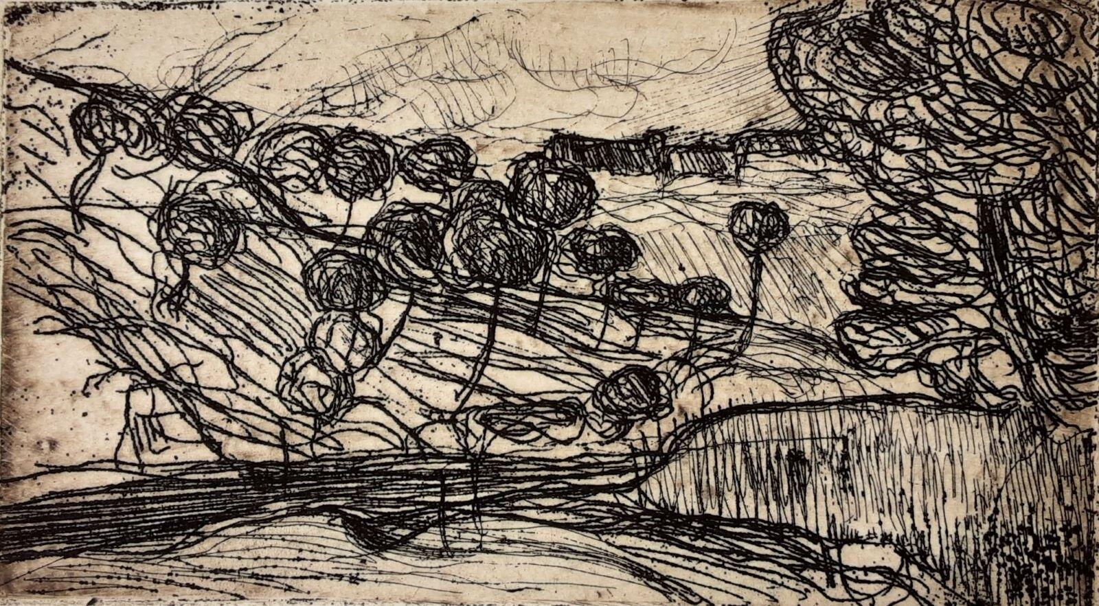 Arbres au bord de l'eau