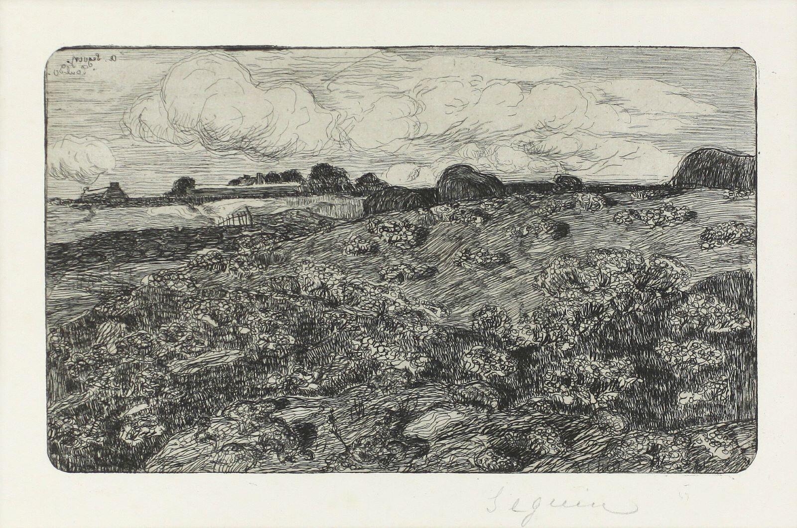 Paysage aux genêts