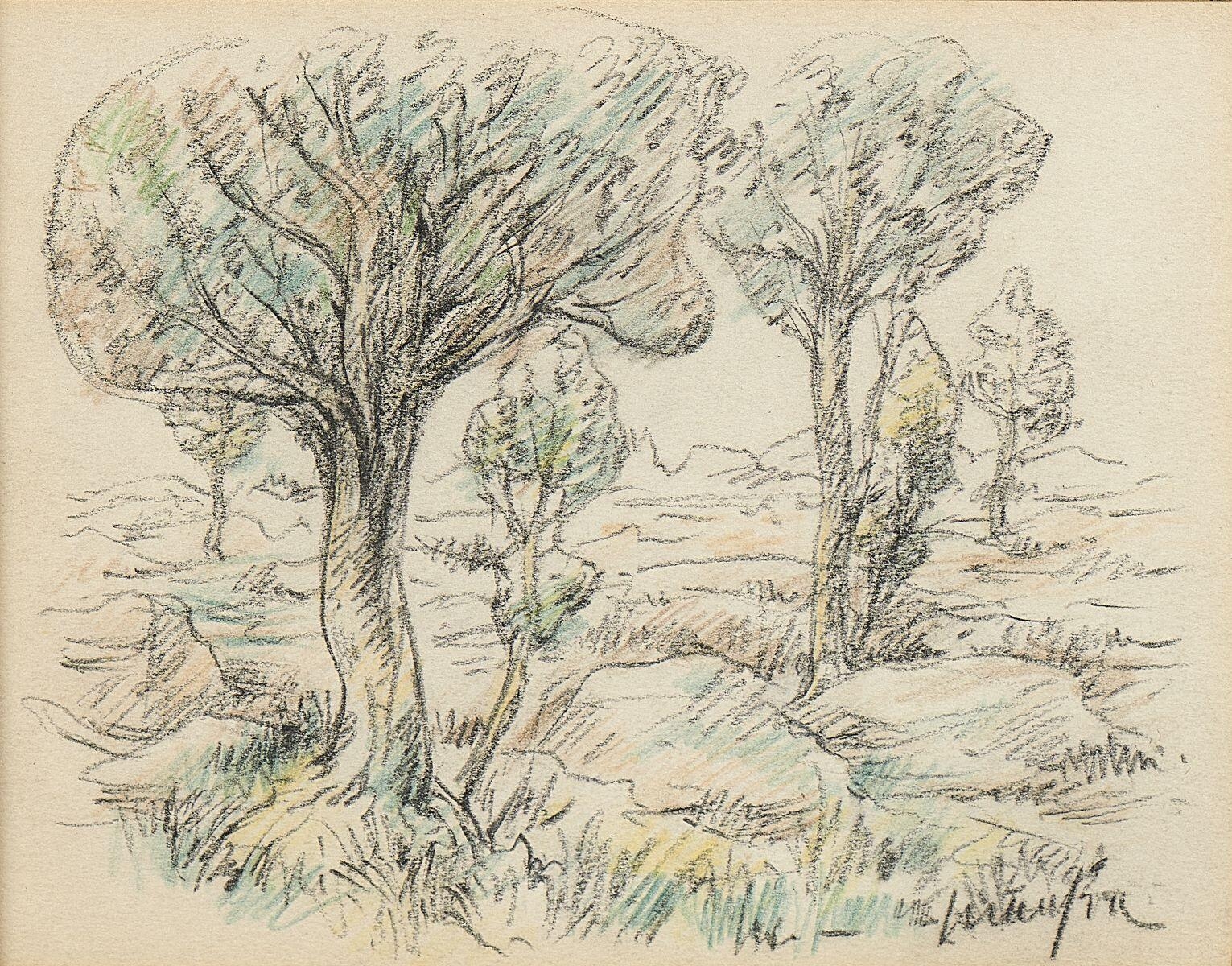 Arbres et étang