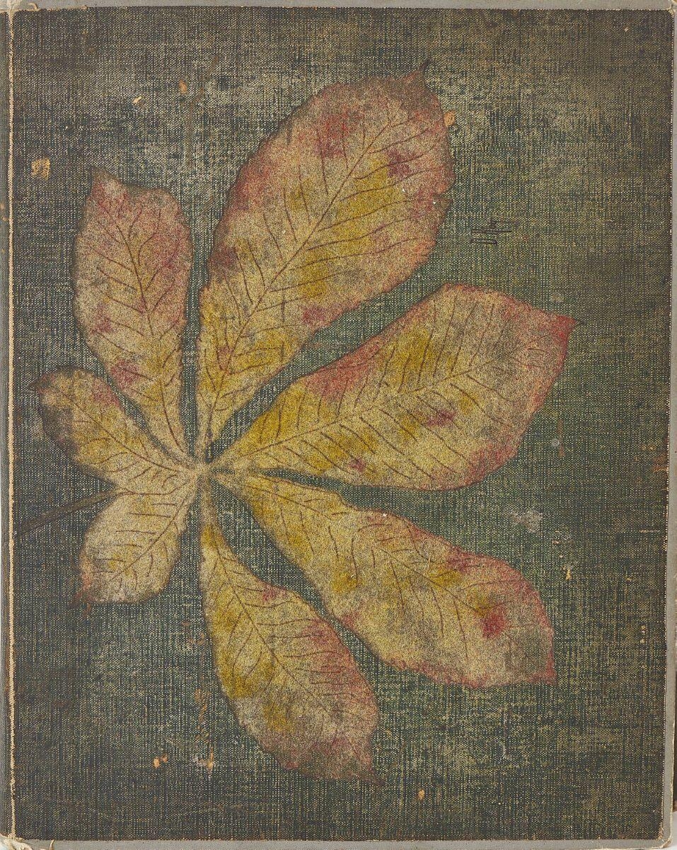 Album de photographies, cartes postales, articles et documents d’un voyage en Bretagne et en Normandie