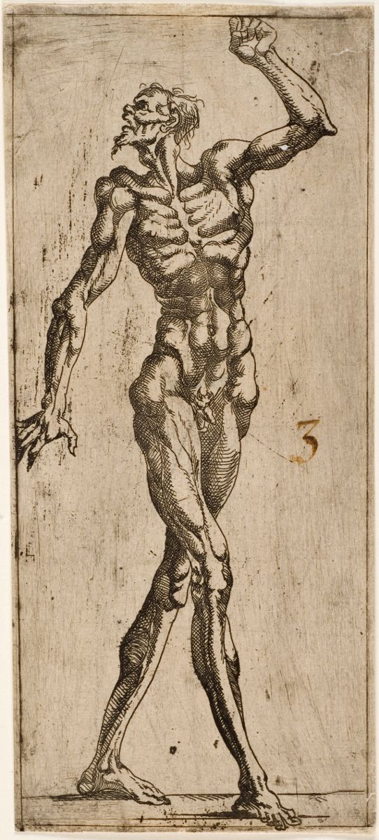 Figure d'homme nu