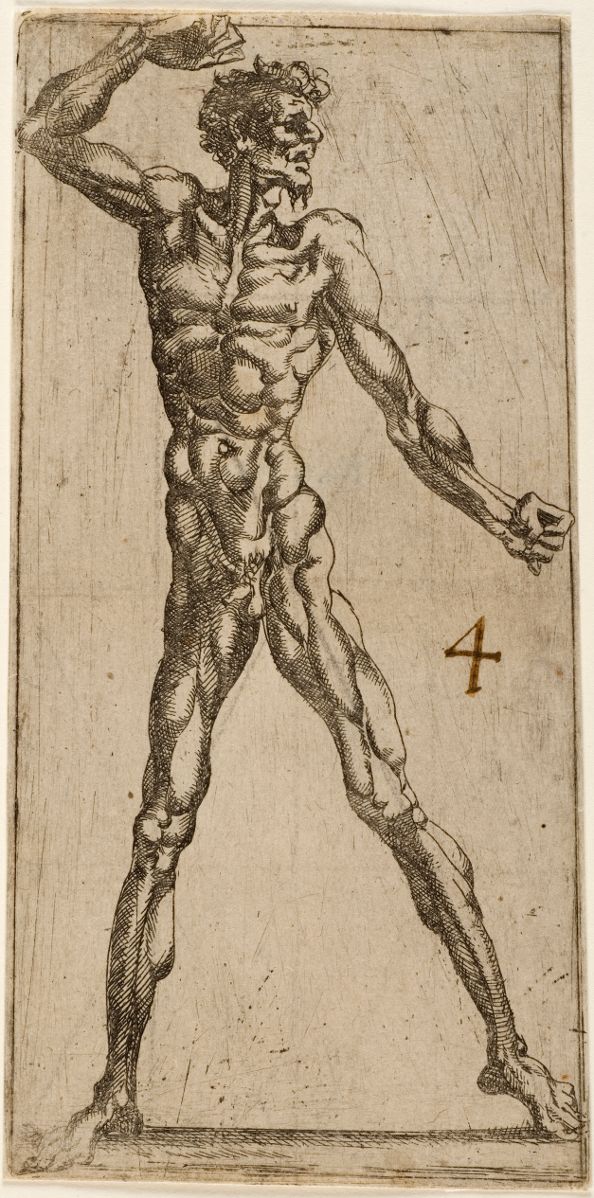Figure d'homme nu