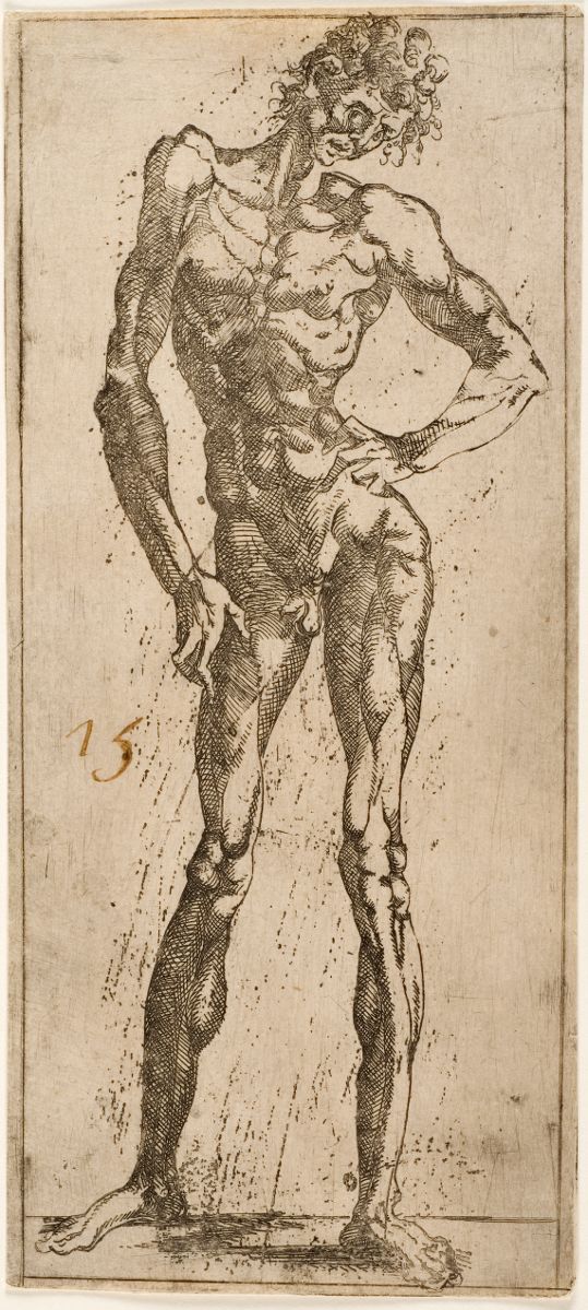 Figure d'homme nu