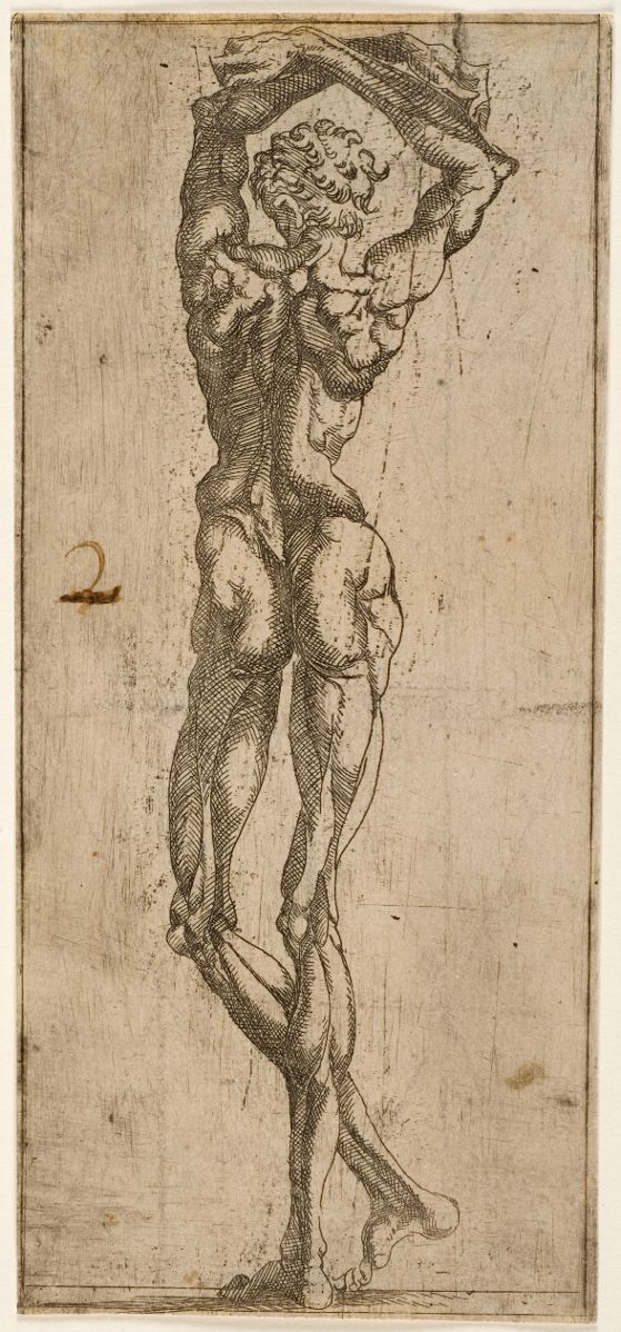 Figure d'homme nu