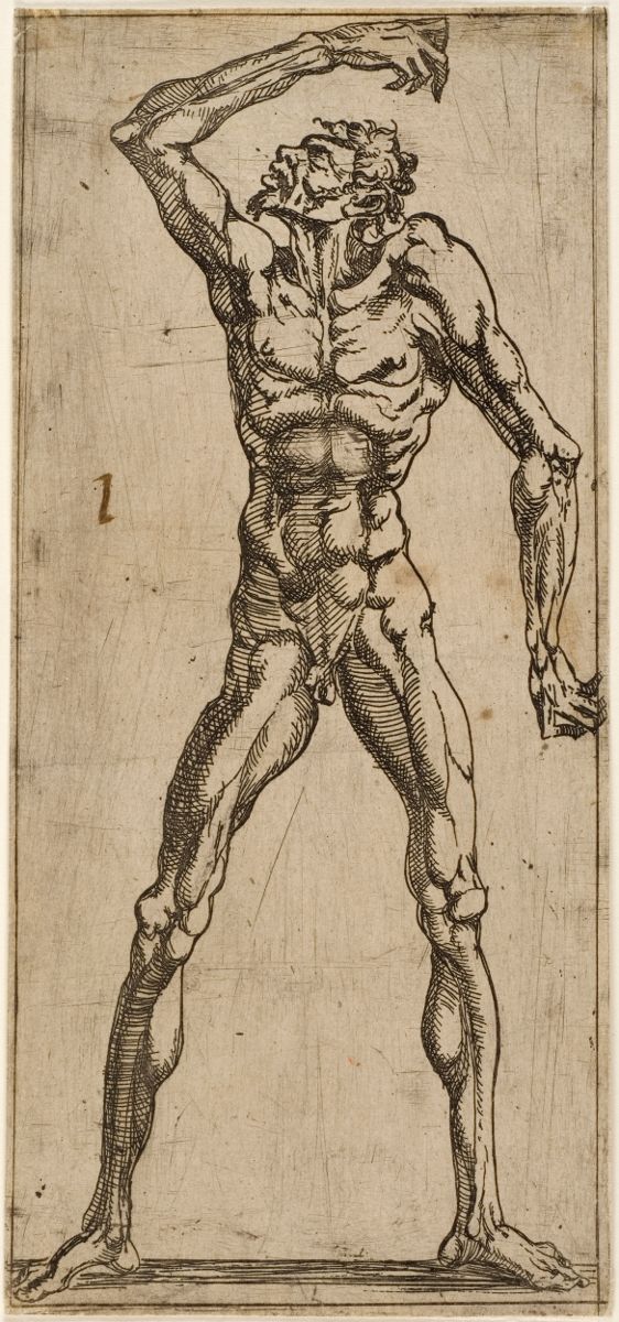 Figure d'homme nu