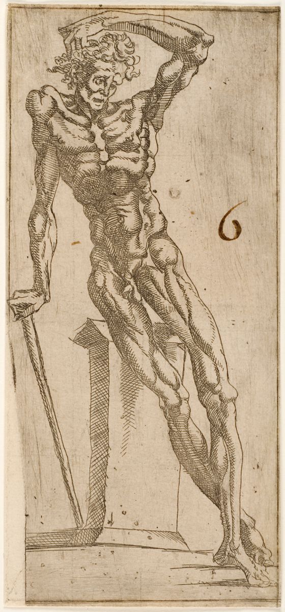 Figure d'homme nu
