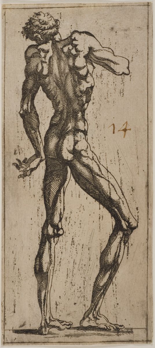 Figure d'homme nu