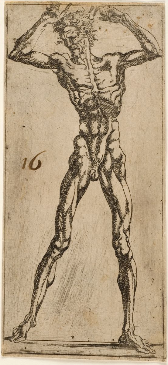 Figure d'homme nu