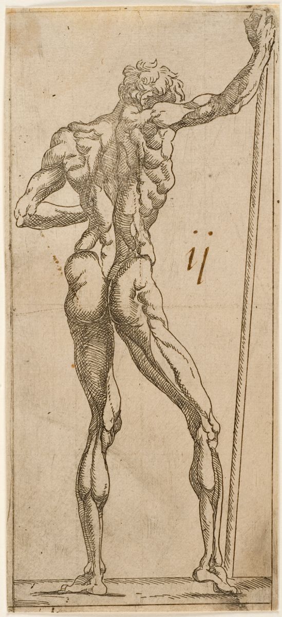 Figure d'homme nu