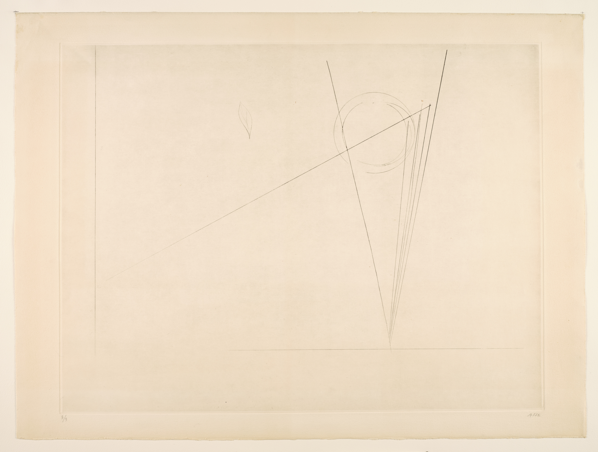 La feuille 3/3