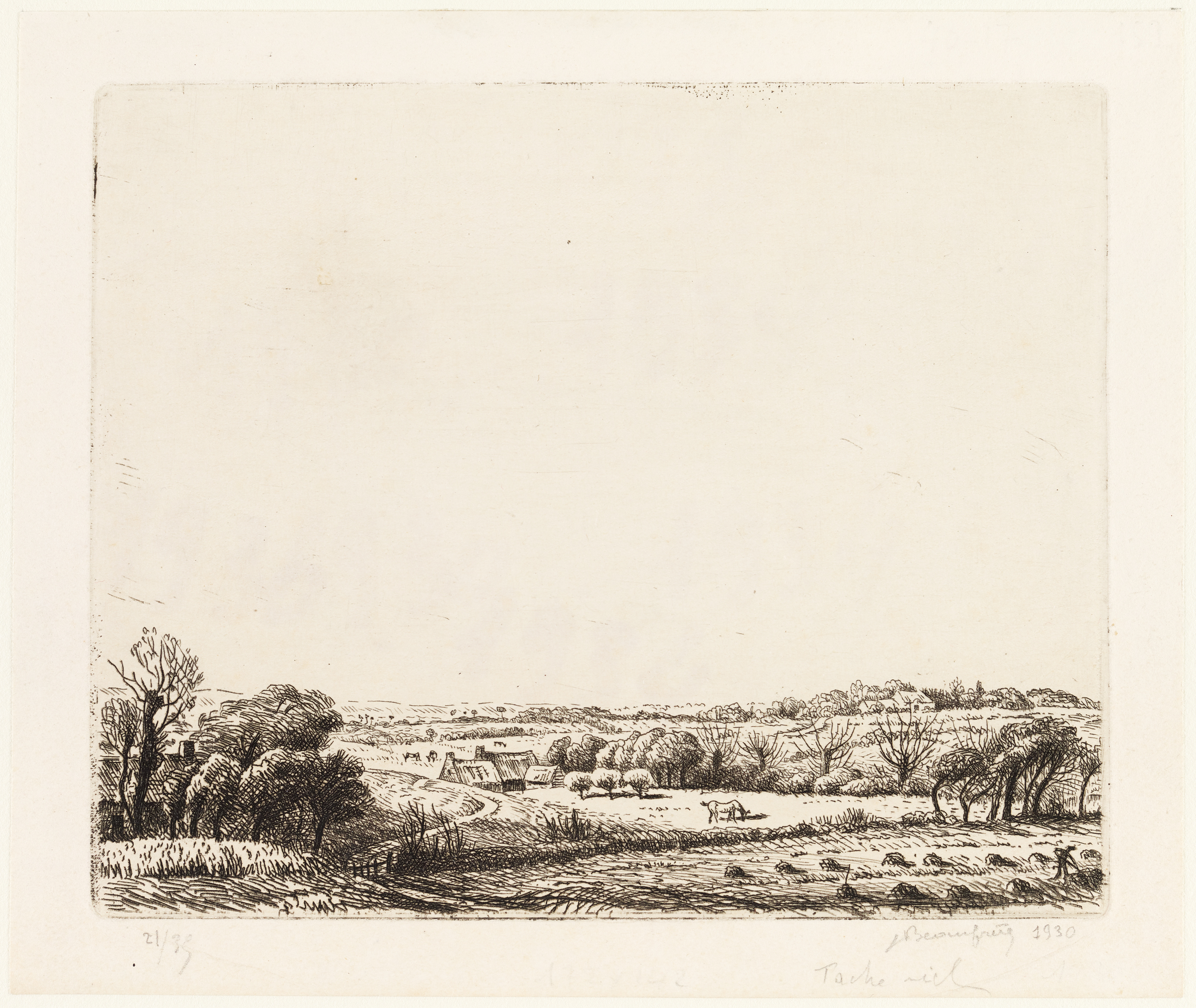 Le cheval dans le pré