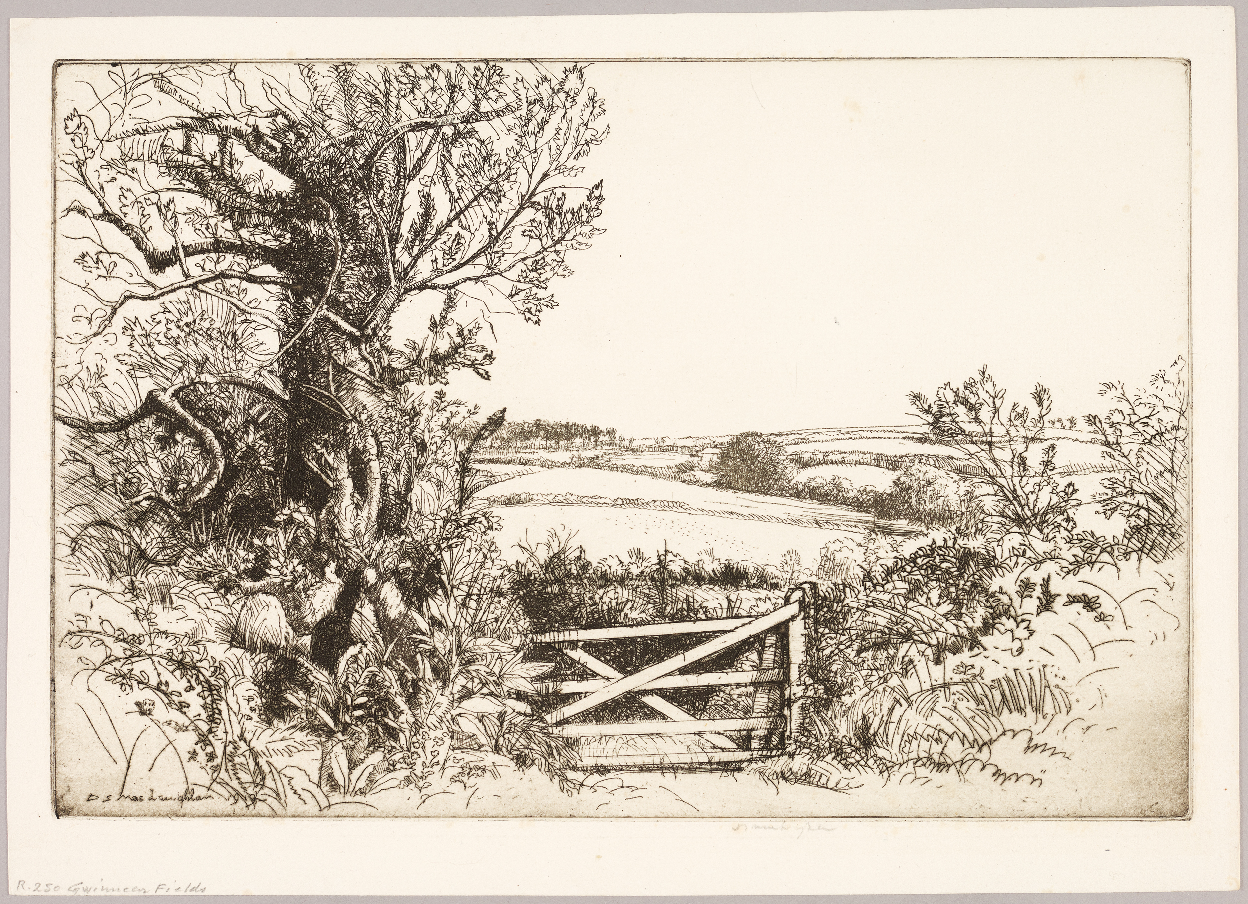 Gwinnear fields