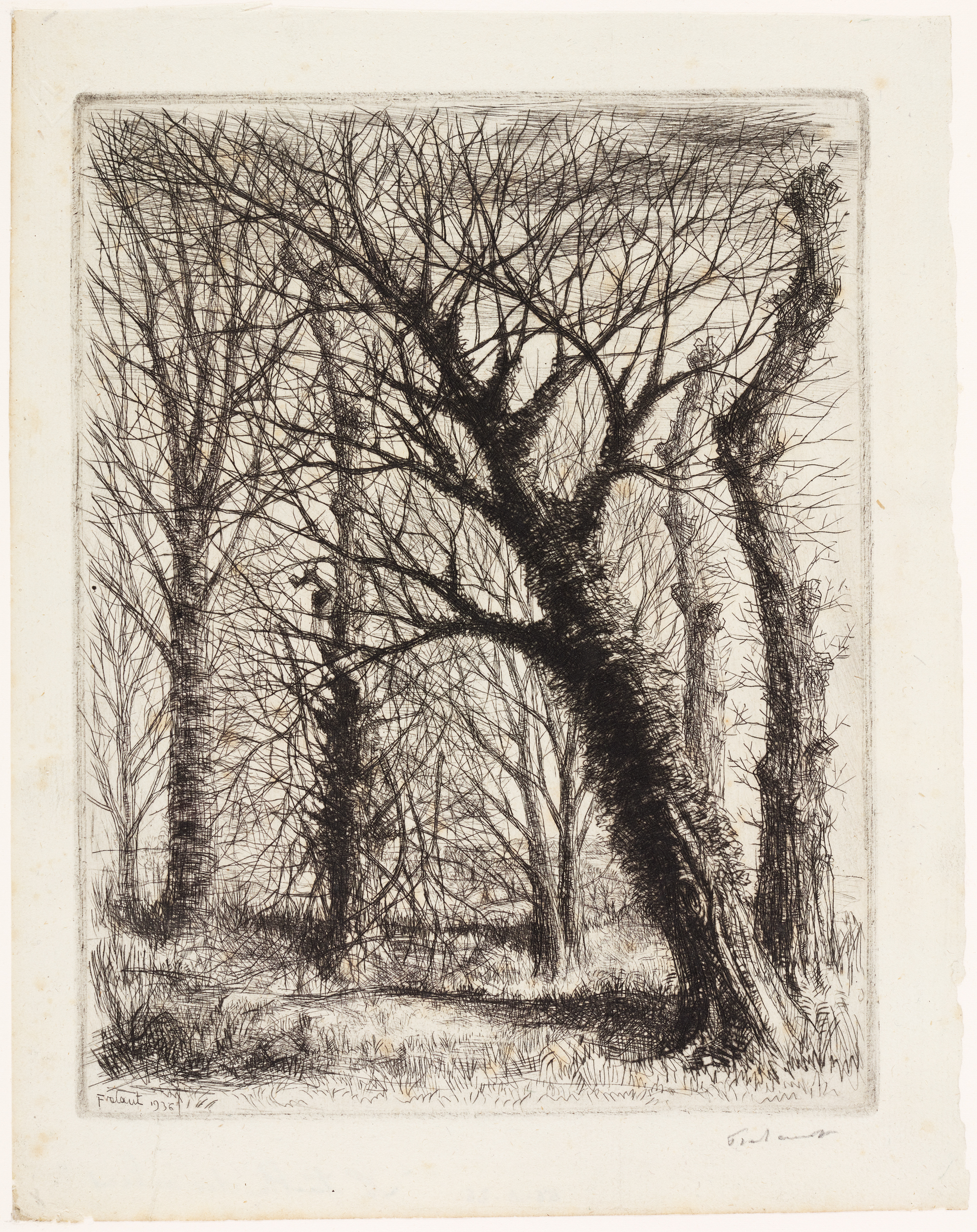 Taille des arbres (titre de catalogue)