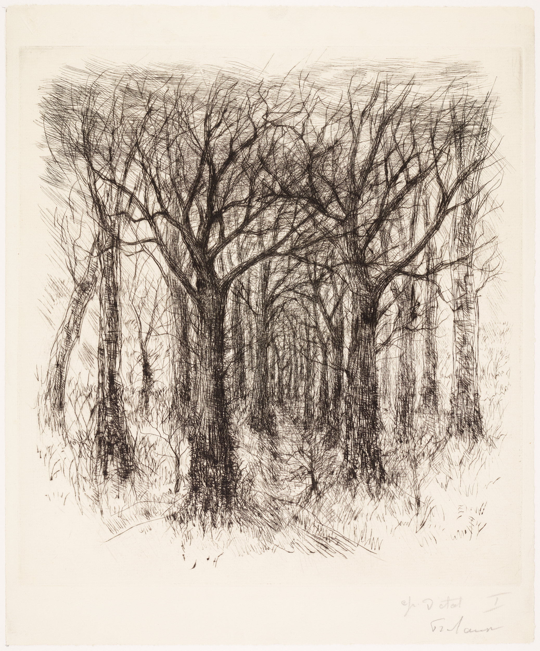 Orage sur la forêt (titre de catalogue) ; Sous bois (titre factice)