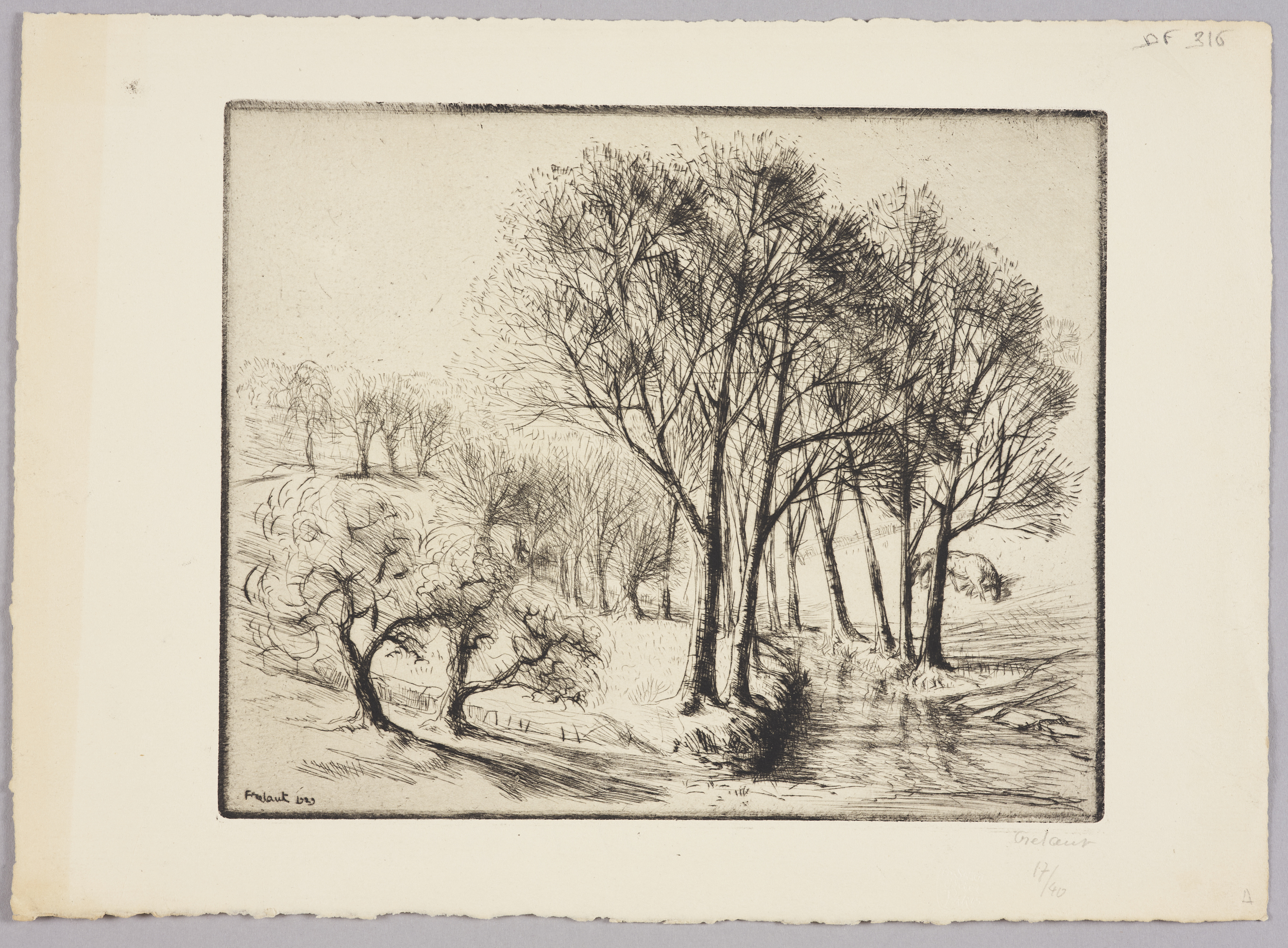 Arbres et ruisseau