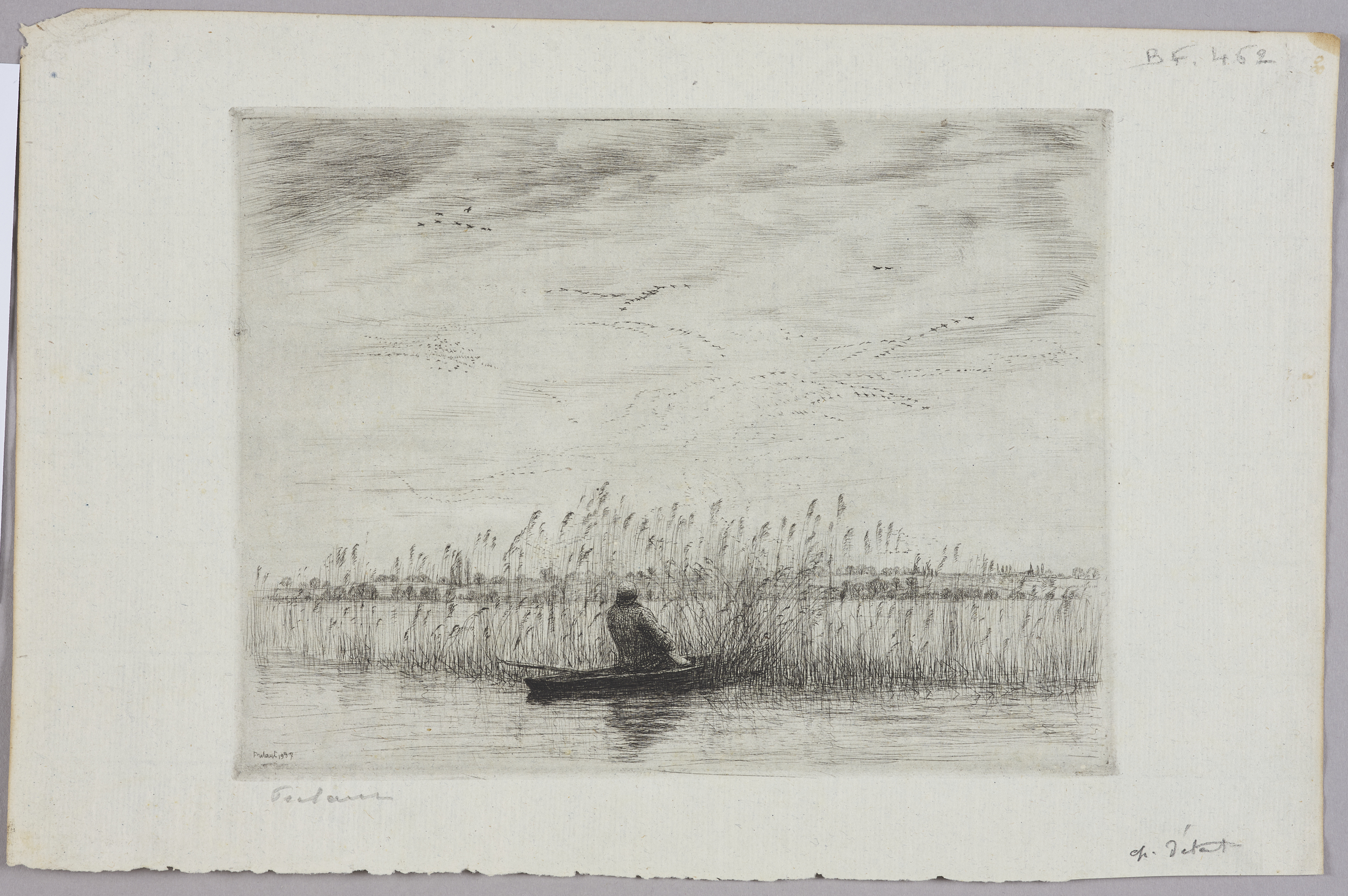 Chasse dans le marais