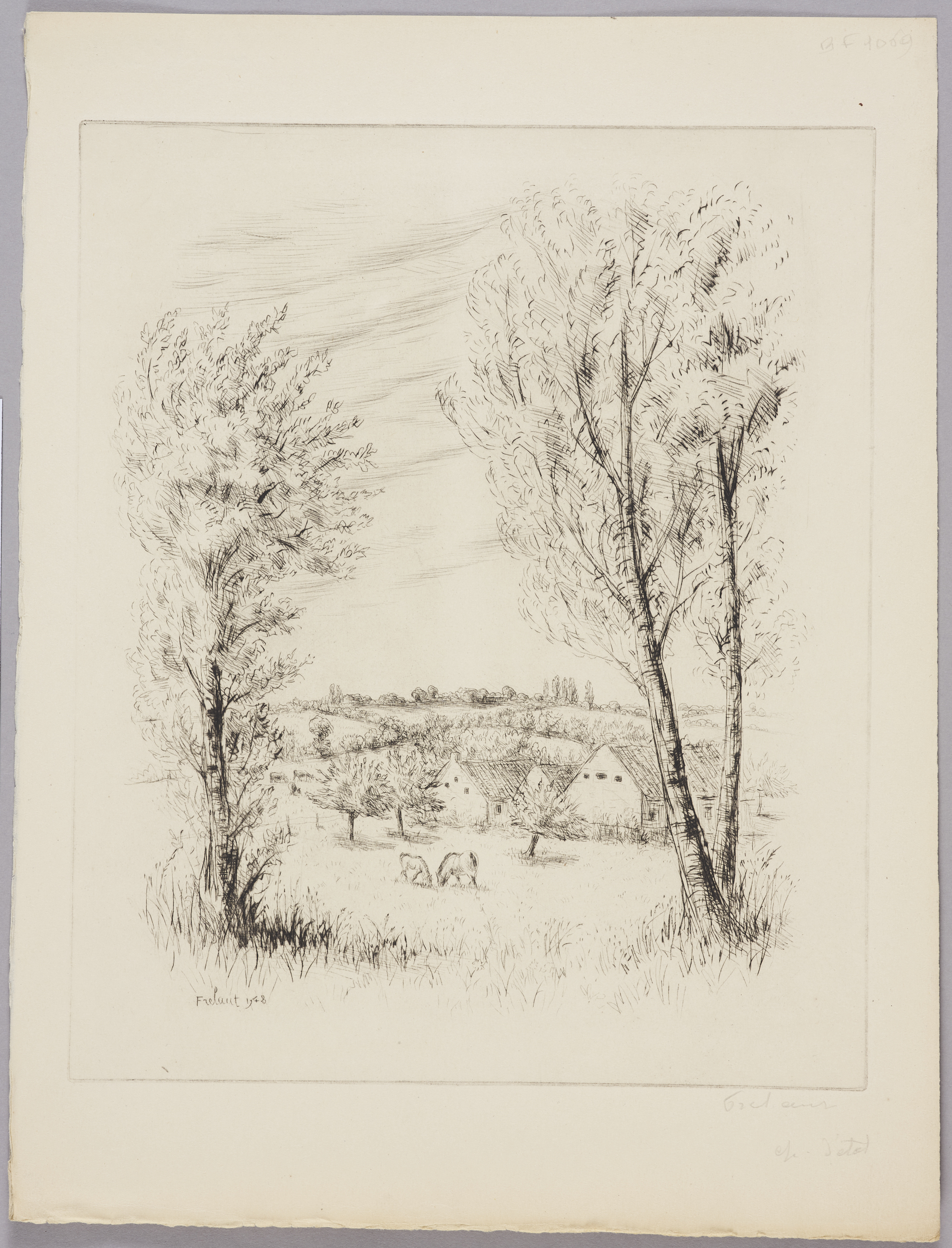 Les peupliers ou la pâture