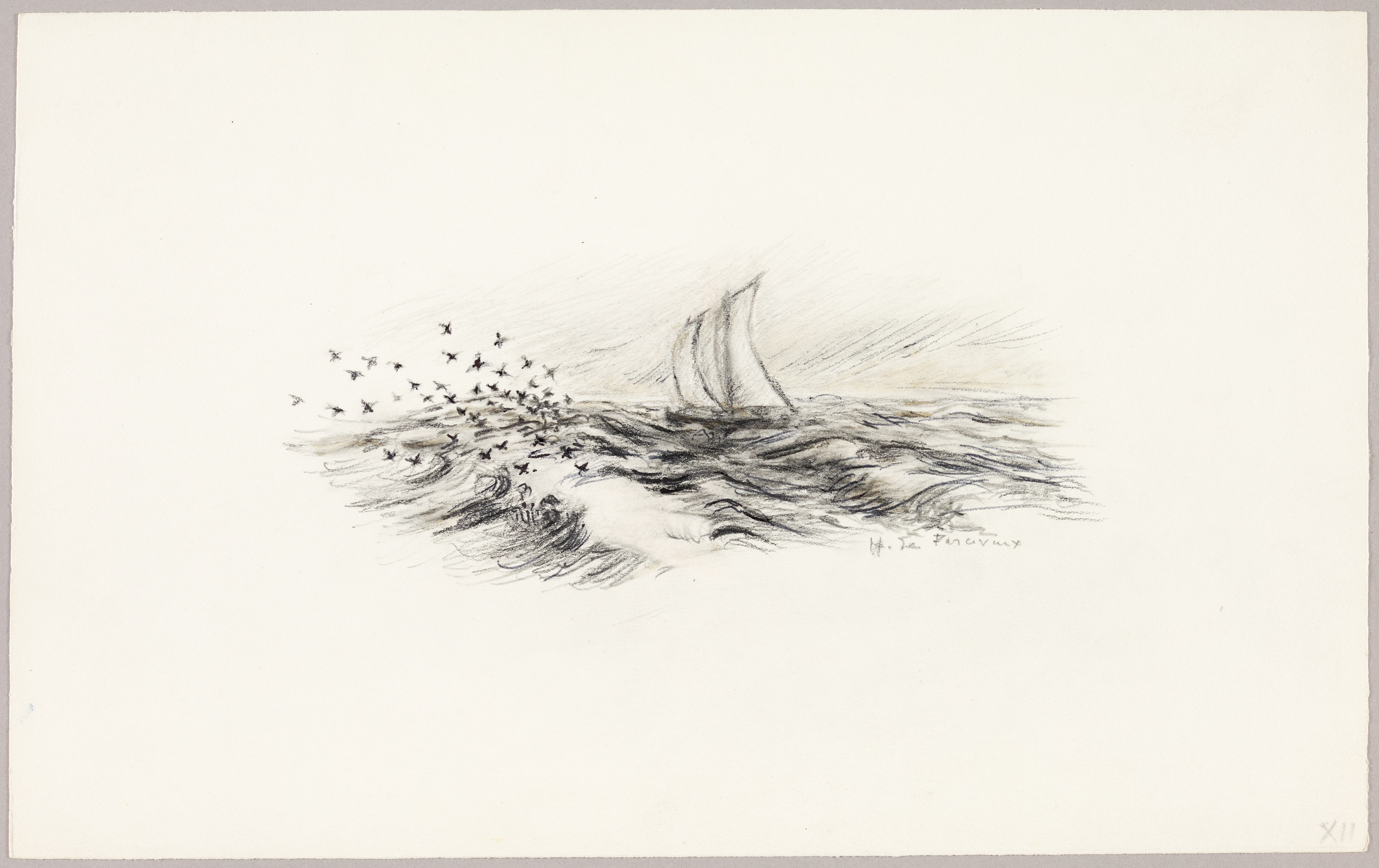 Voilier et essor d'oiseaux