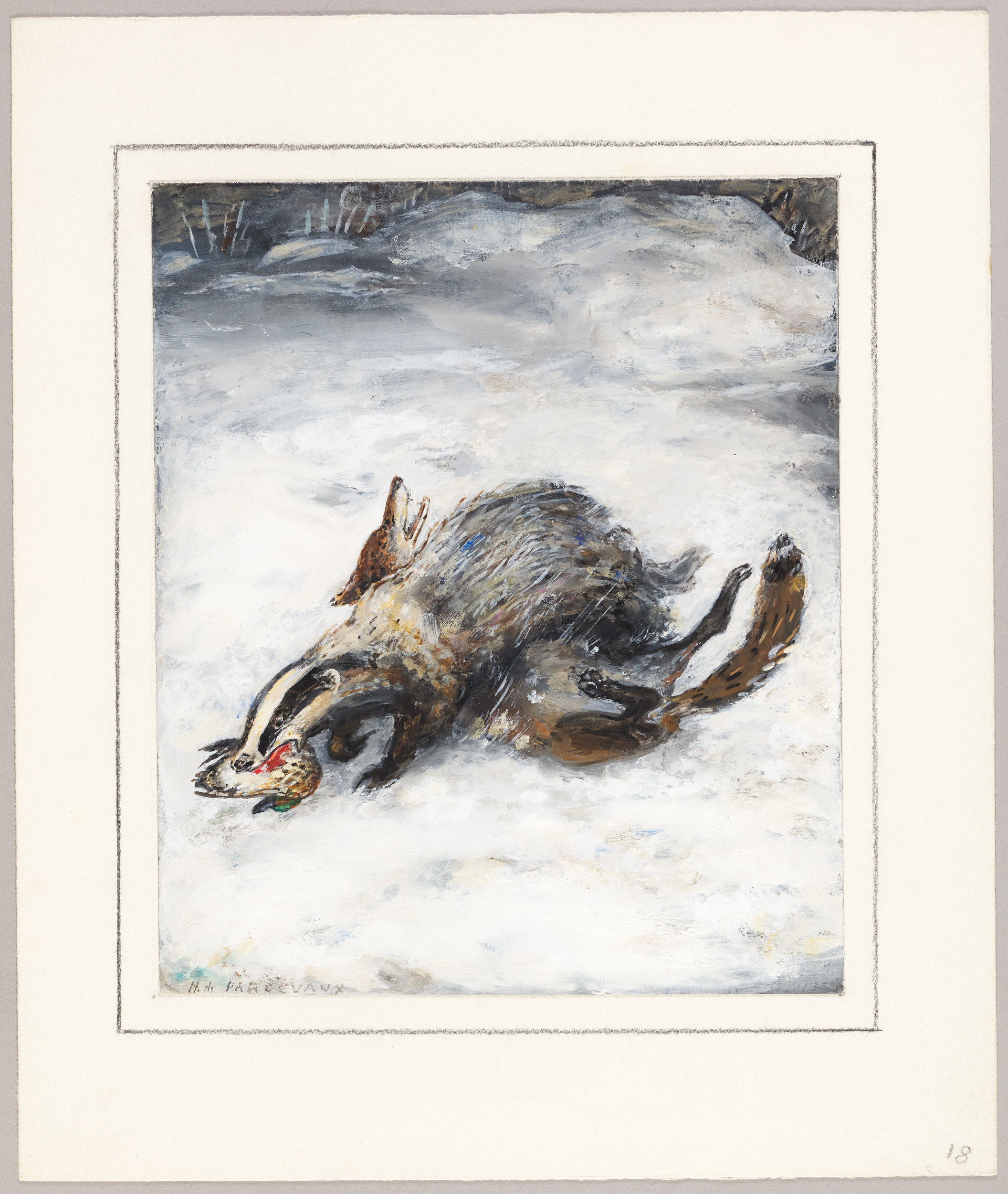 Putois et col vert dans la neige