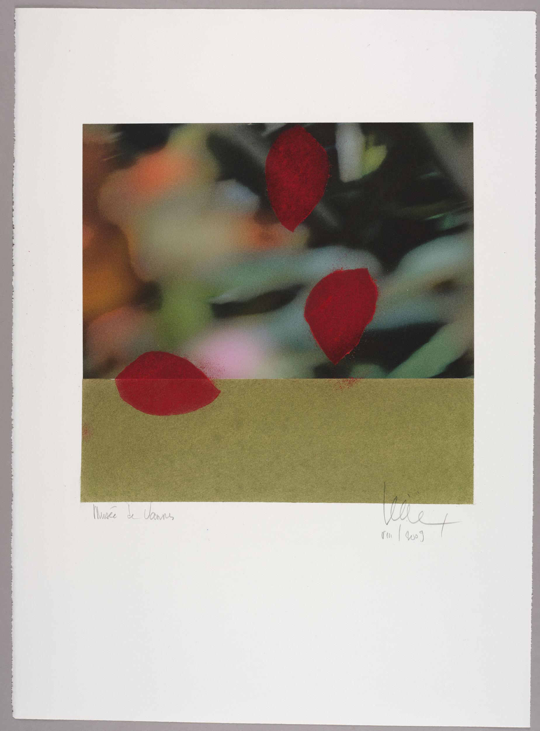 Sans titre (jardin)