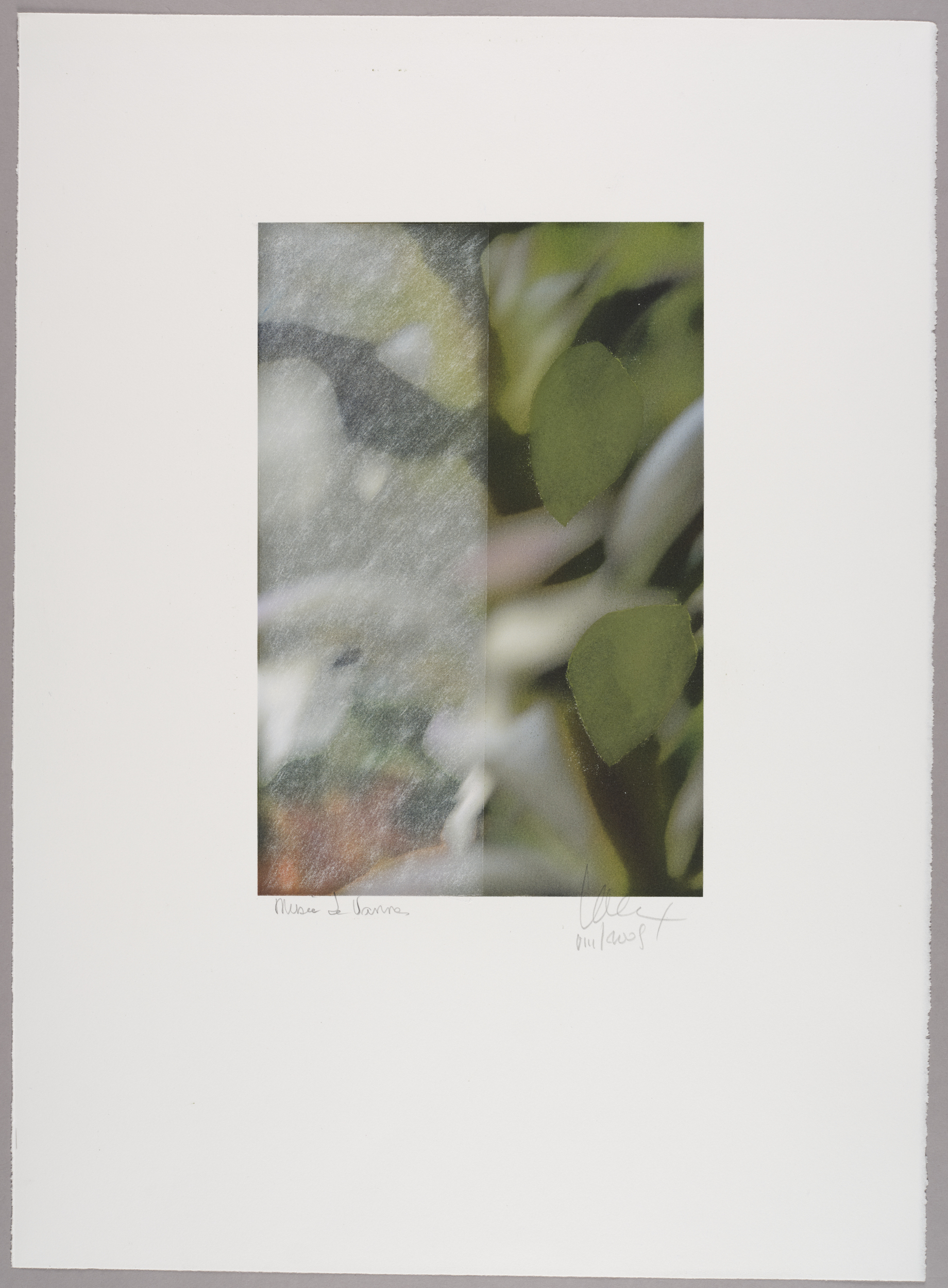 Sans titre (jardin)