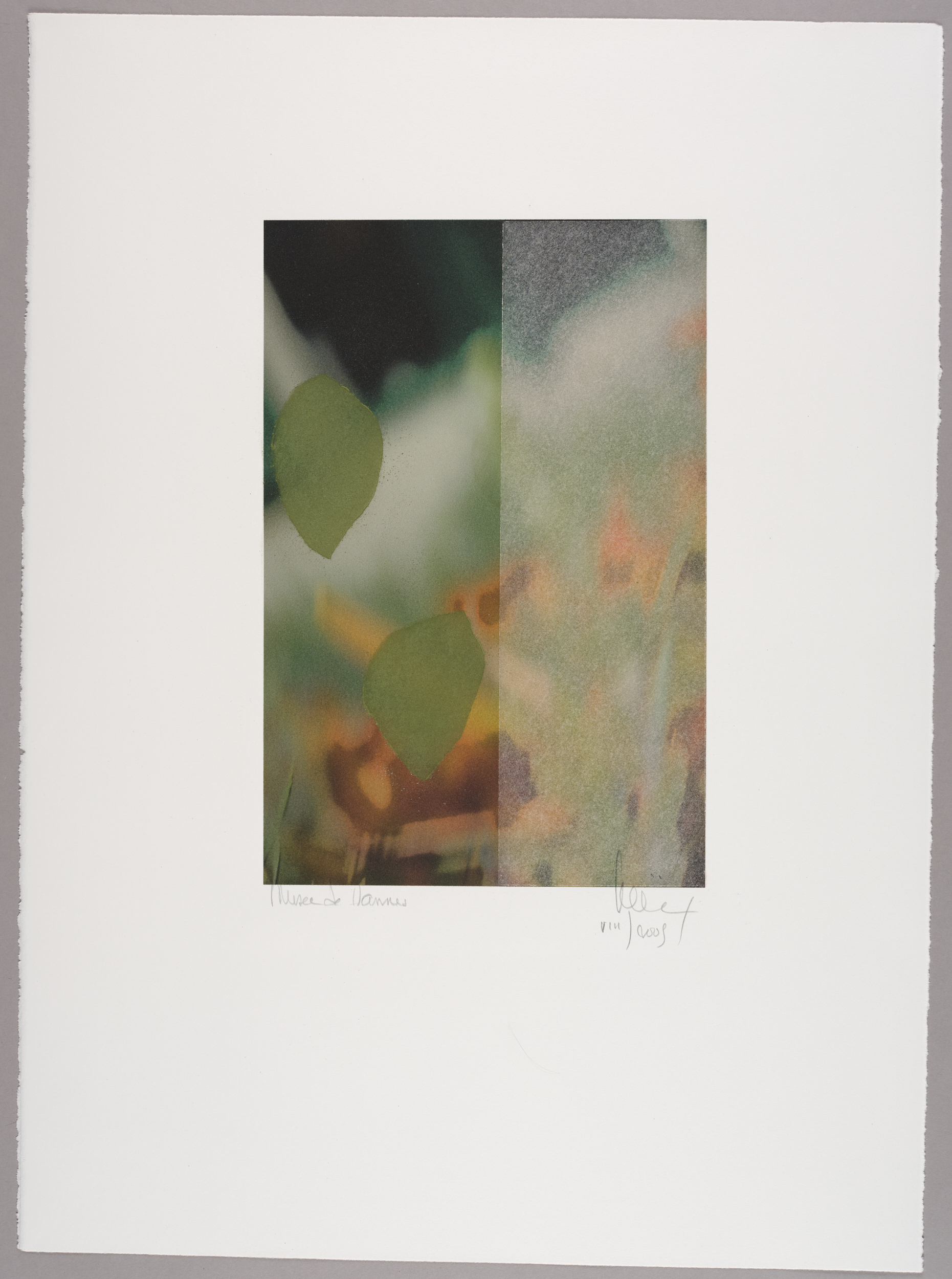 Sans titre (jardin)