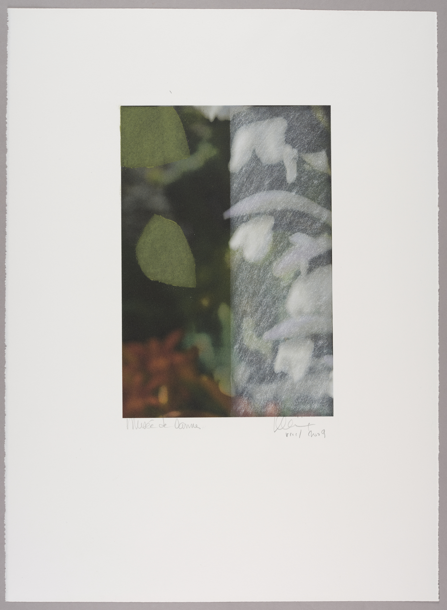 Sans titre (jardin)