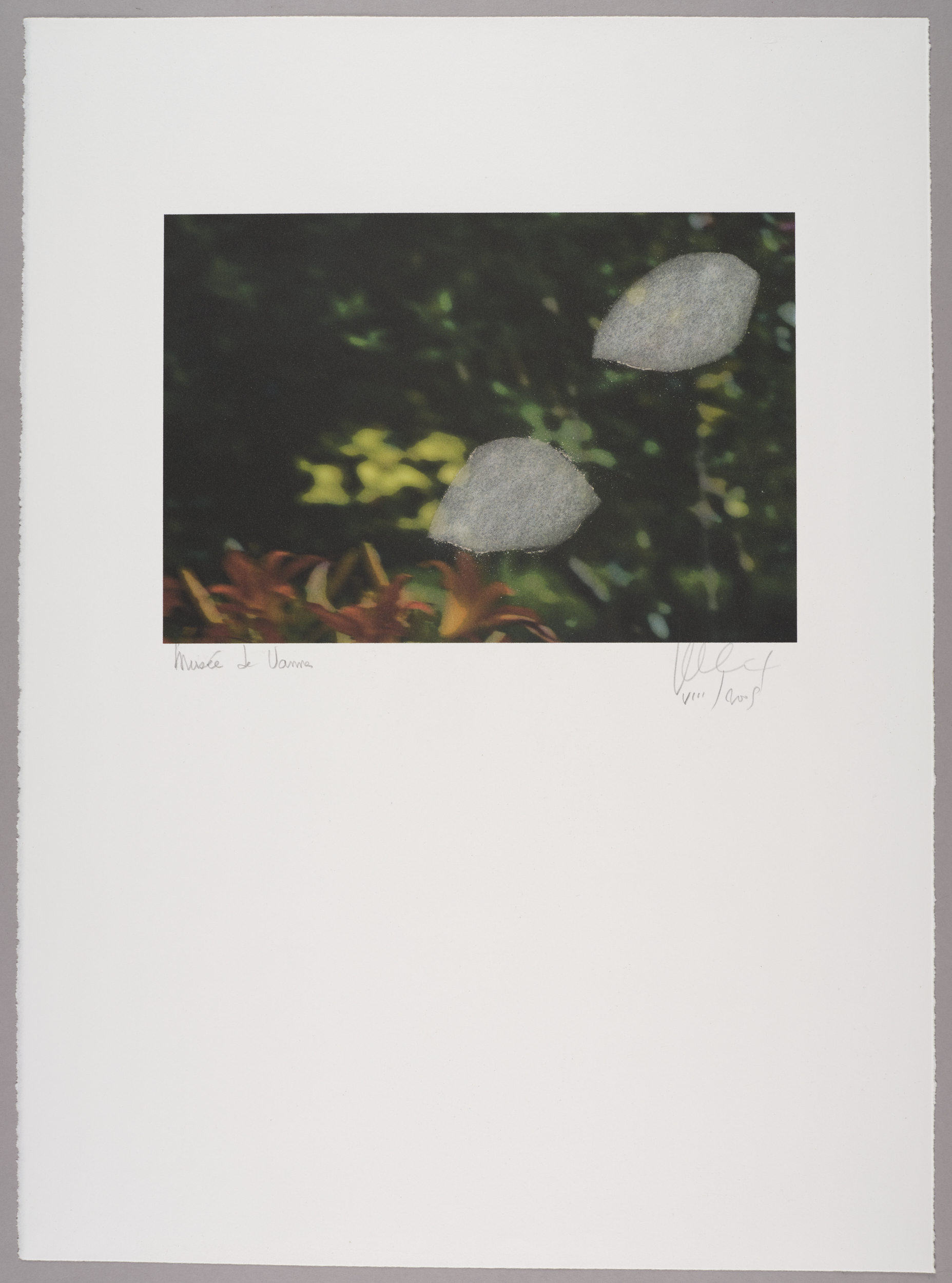 Sans titre (jardin)
