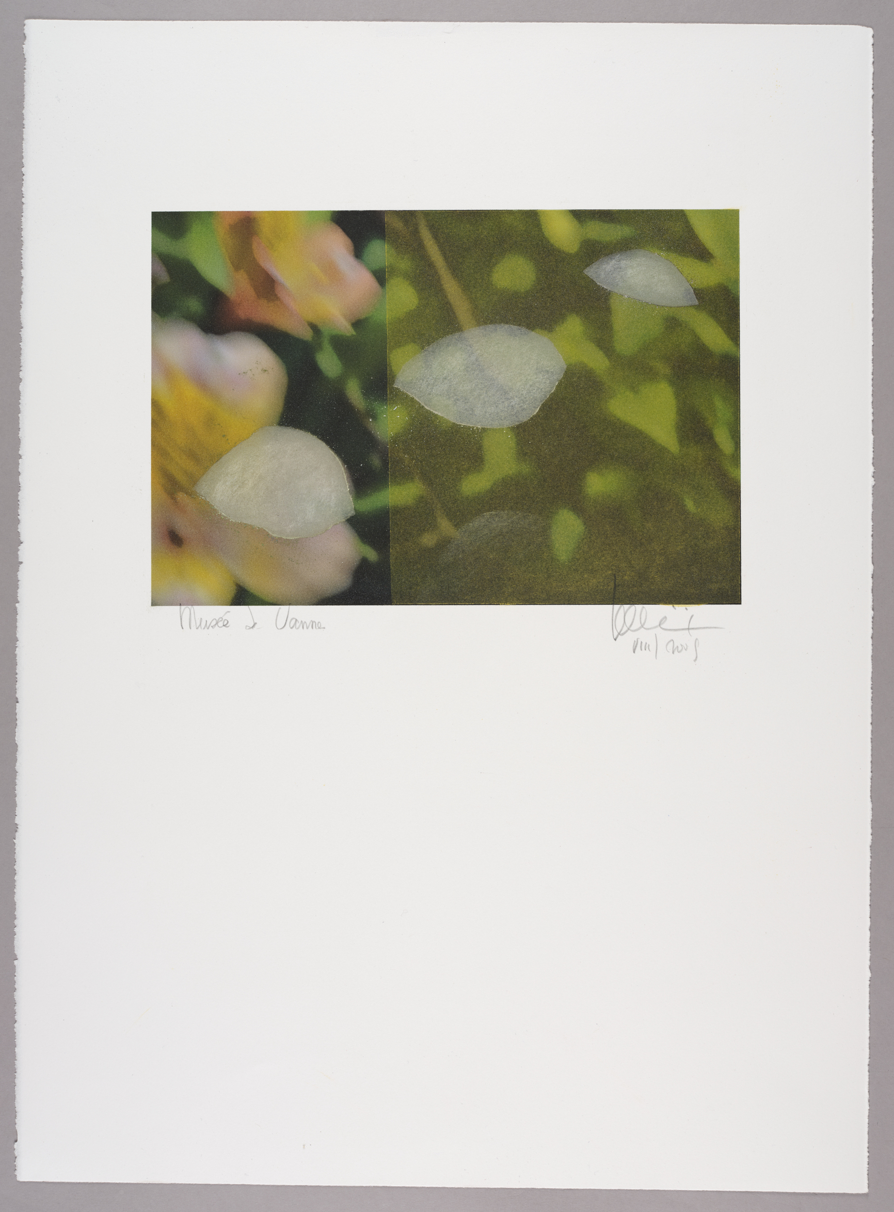 Sans titre (jardin)