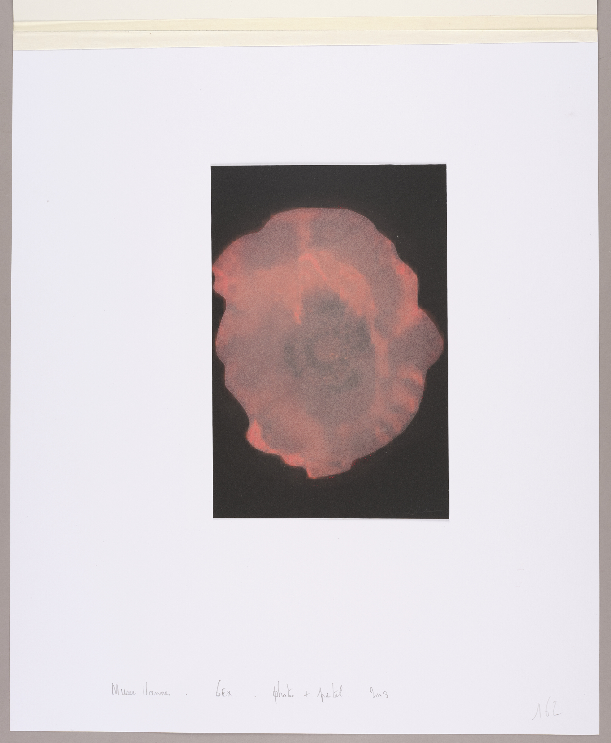 fleur