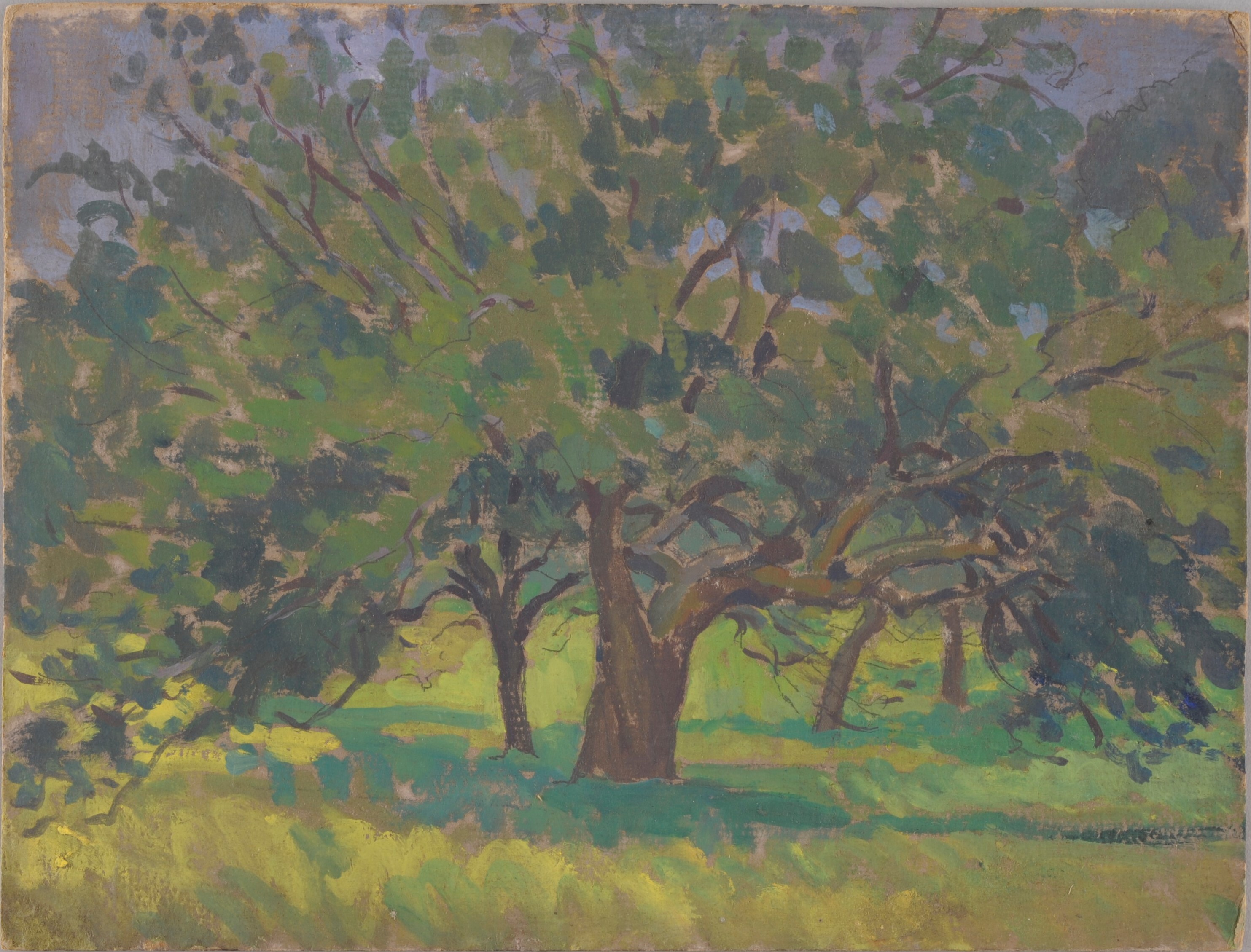 Arbres