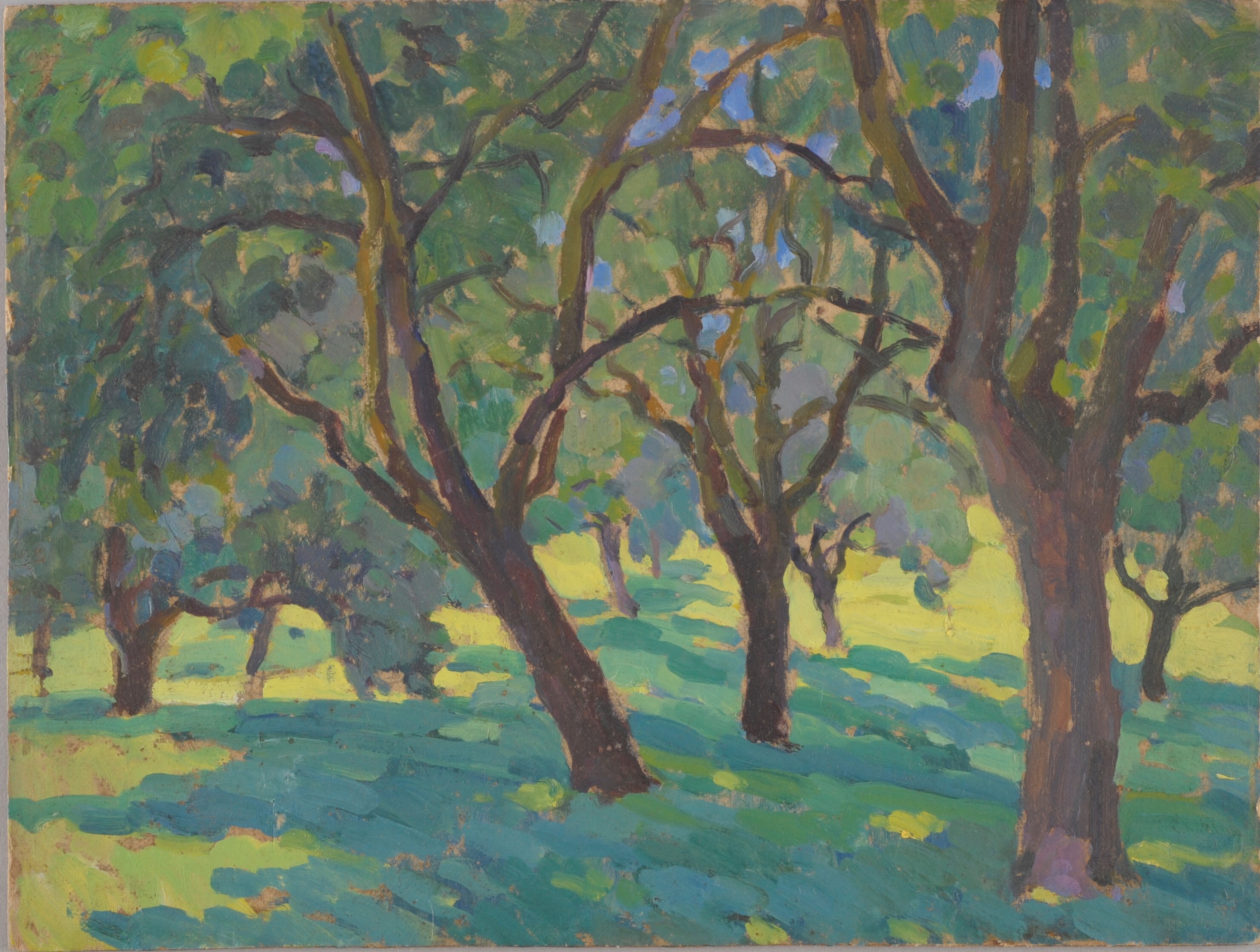 Arbres