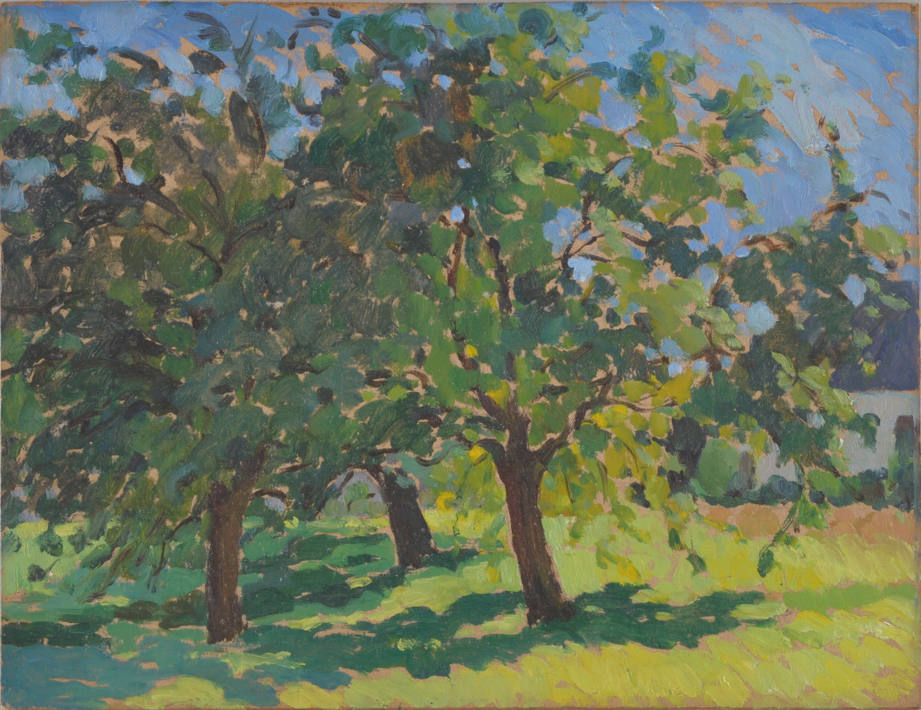 Arbres