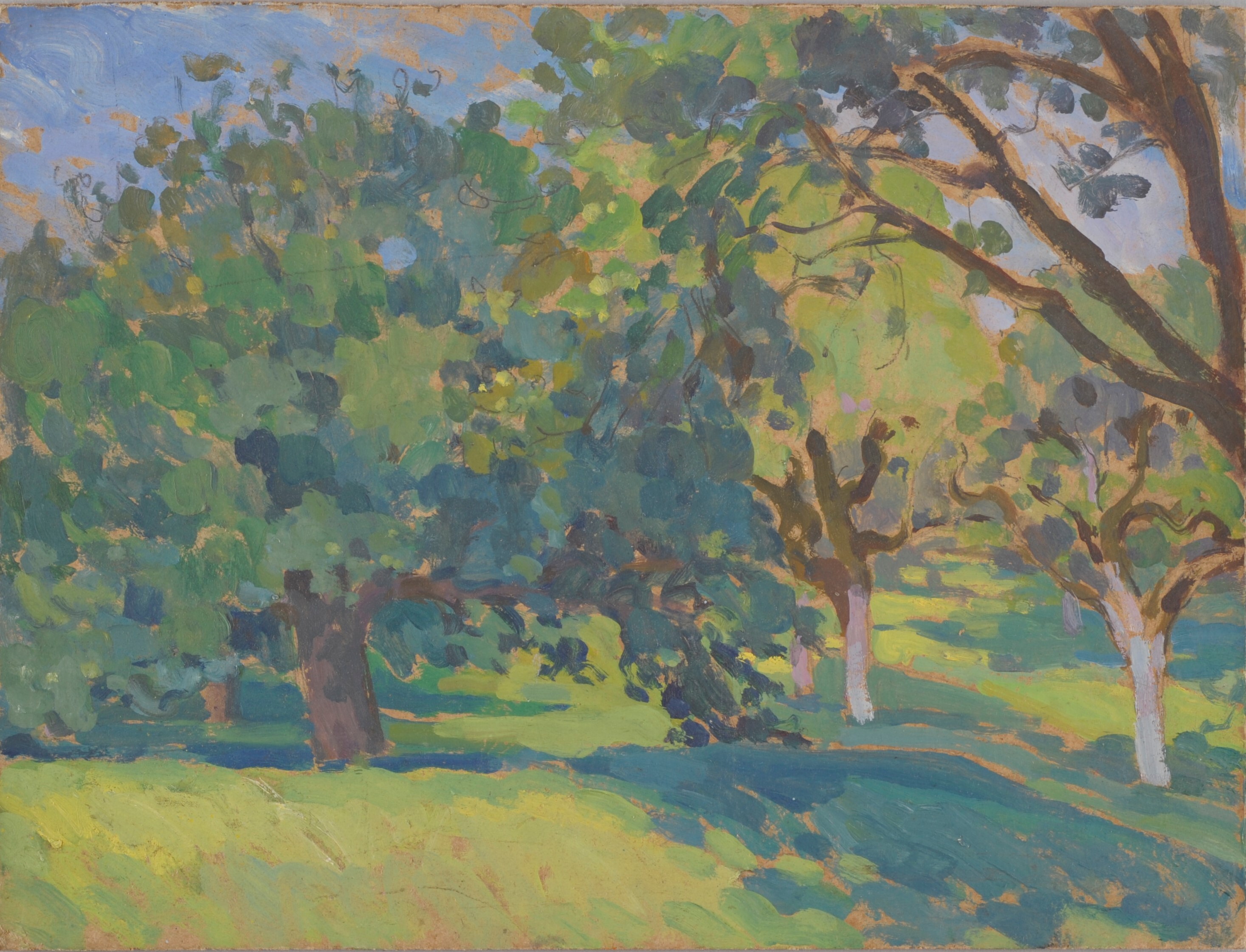 Arbres