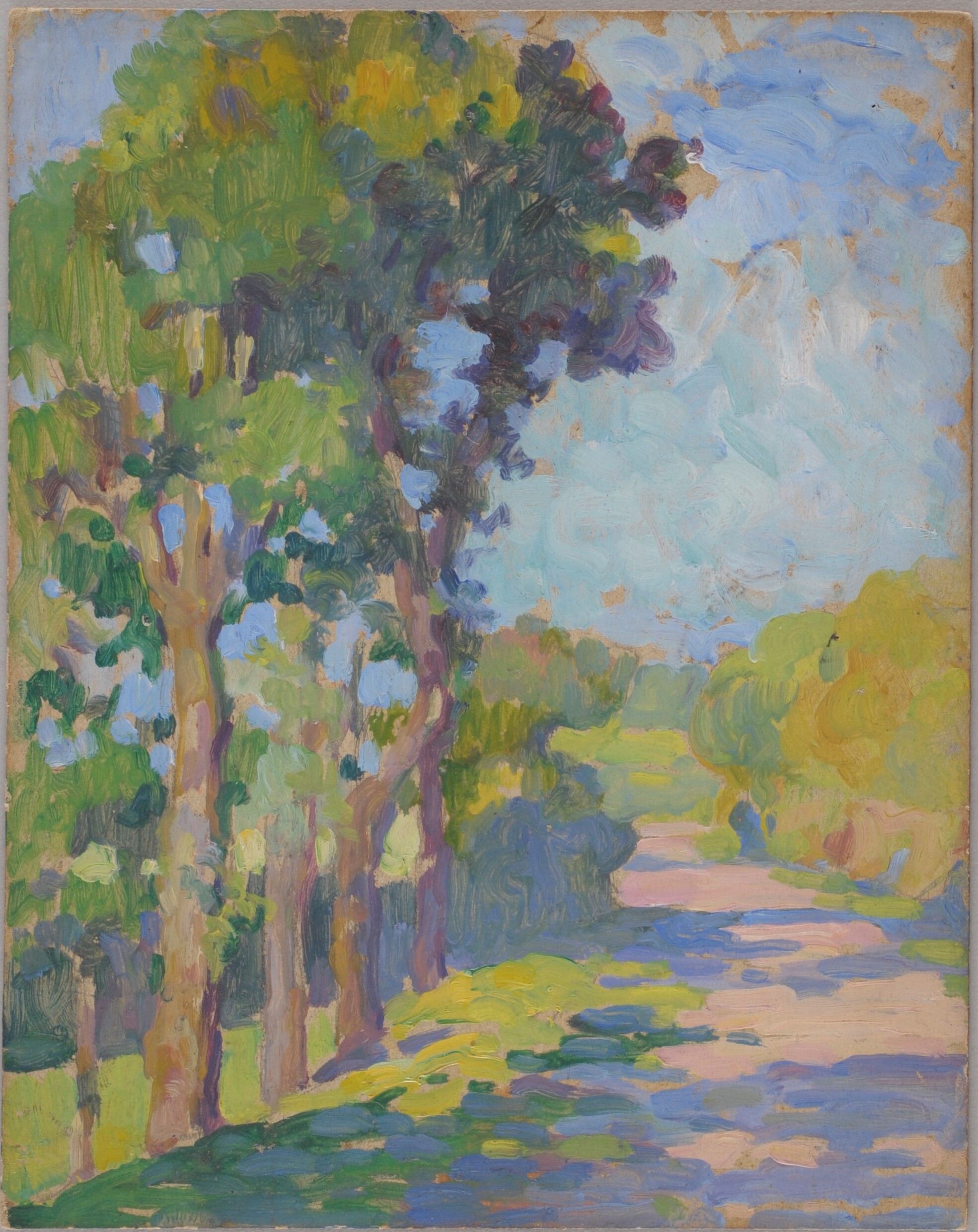 Arbres au bord de la route