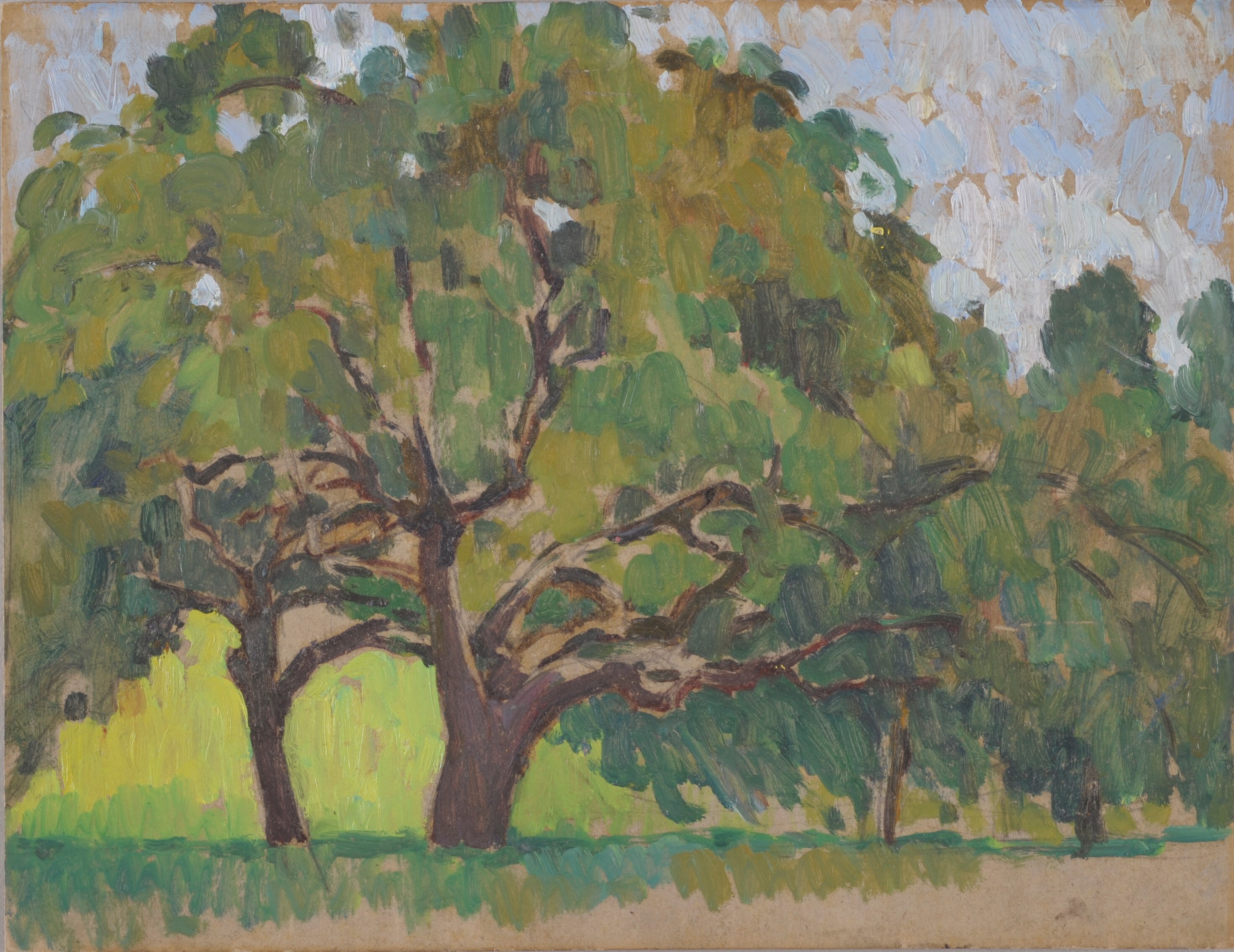 Arbres