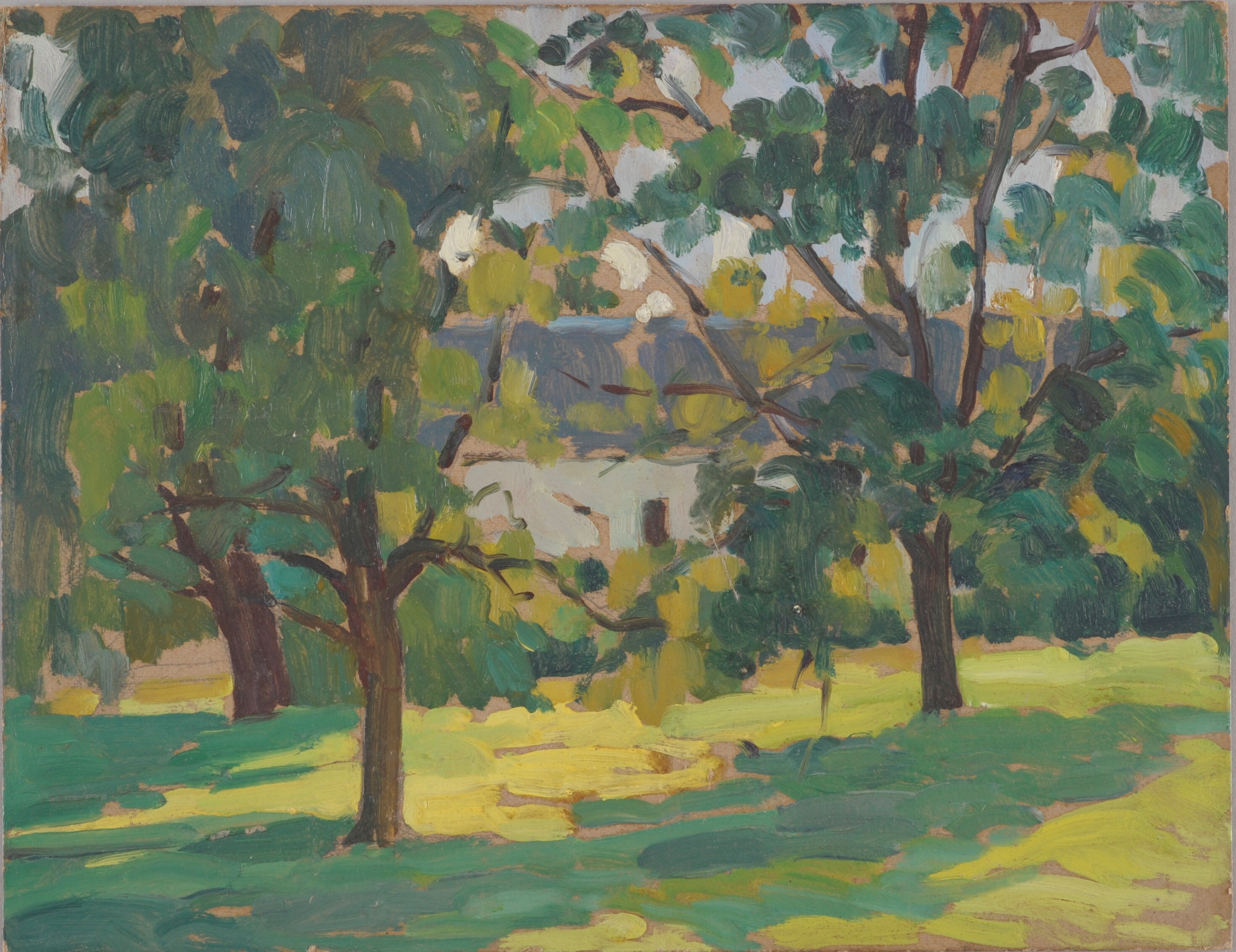 Arbres et maison
