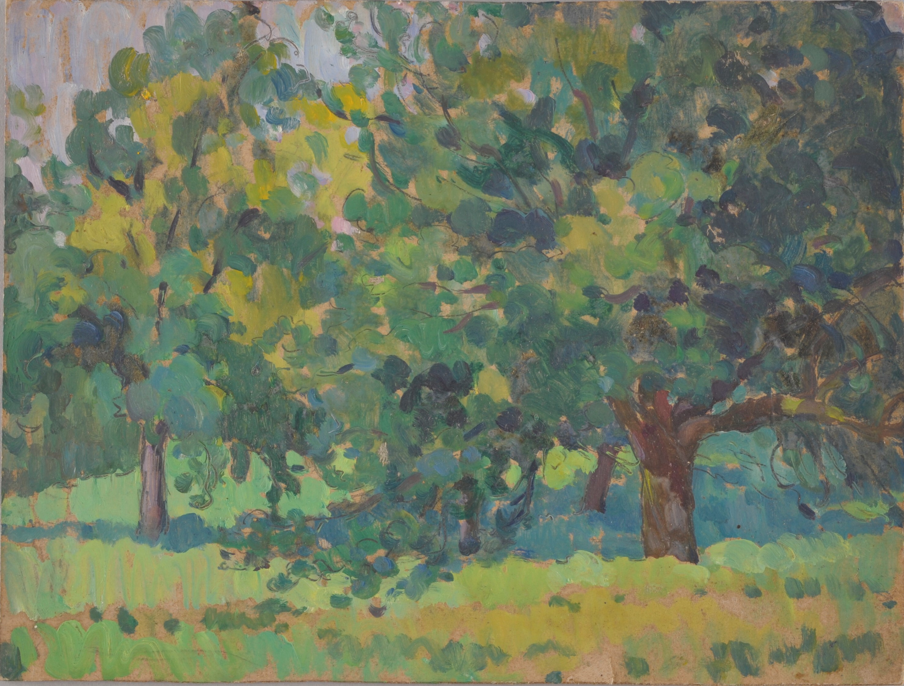 Arbres