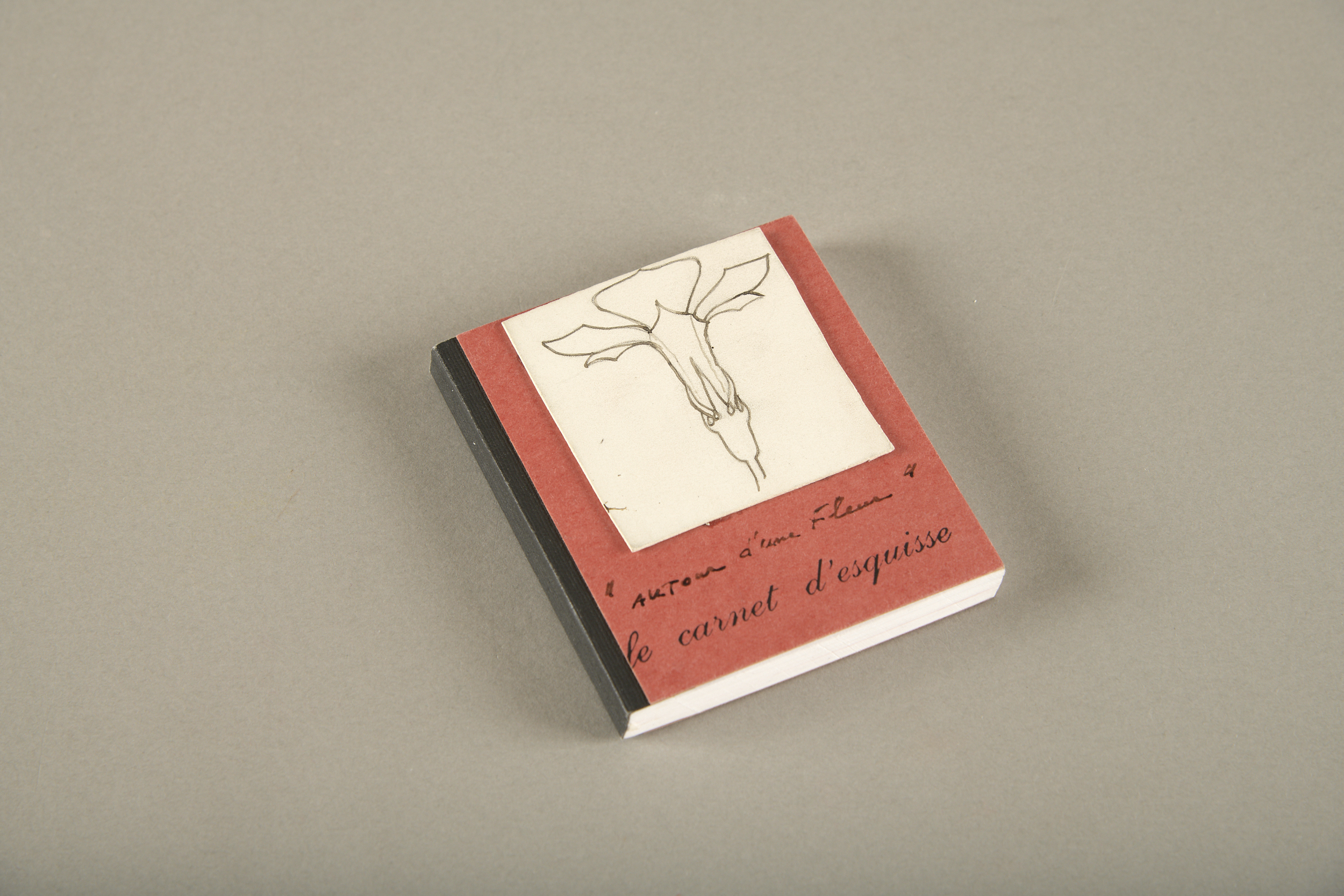 Autour d'une fleur ; Carnet de dessins (titre d'usage)