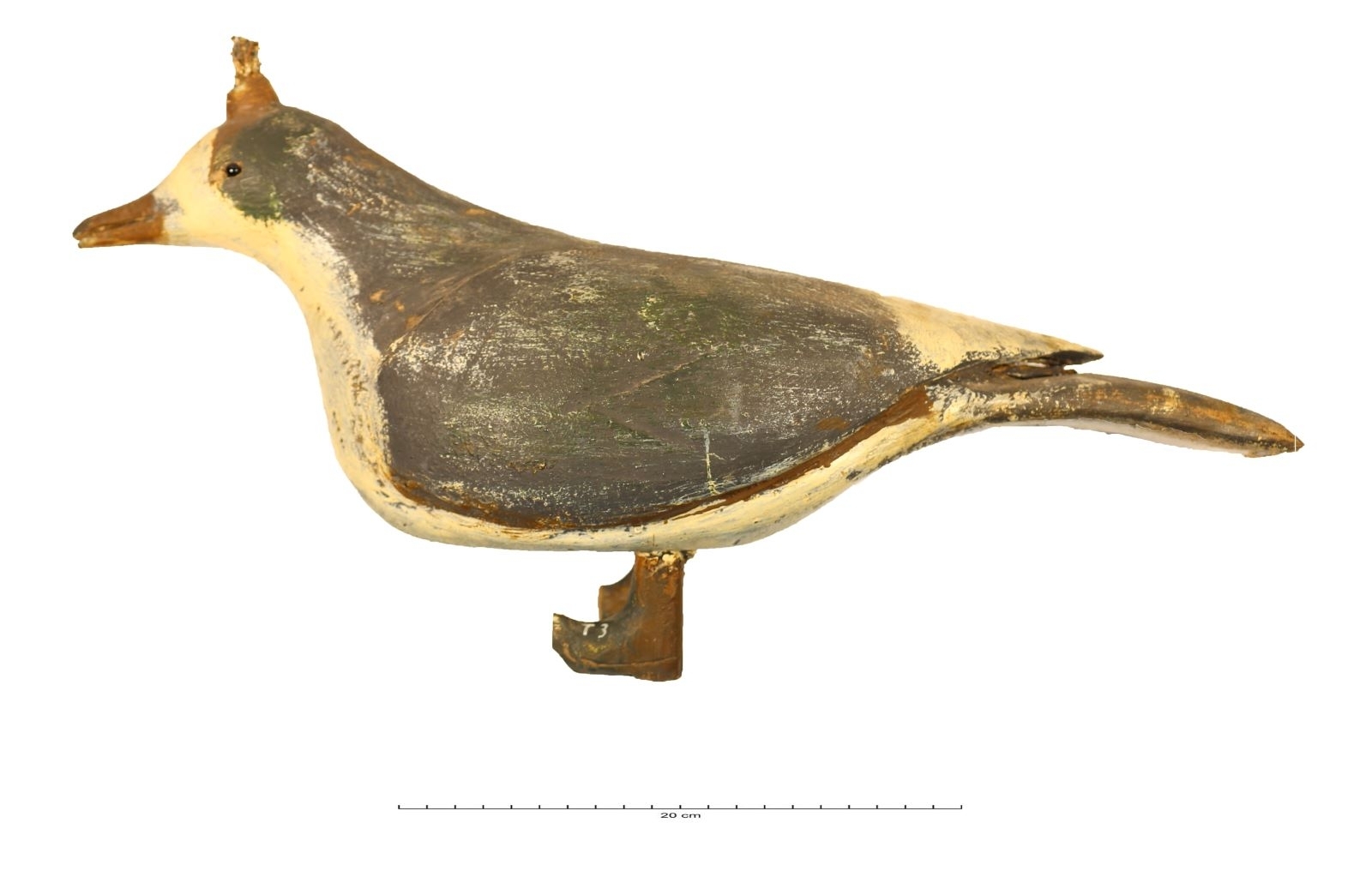 Gros oiseau avec houpette