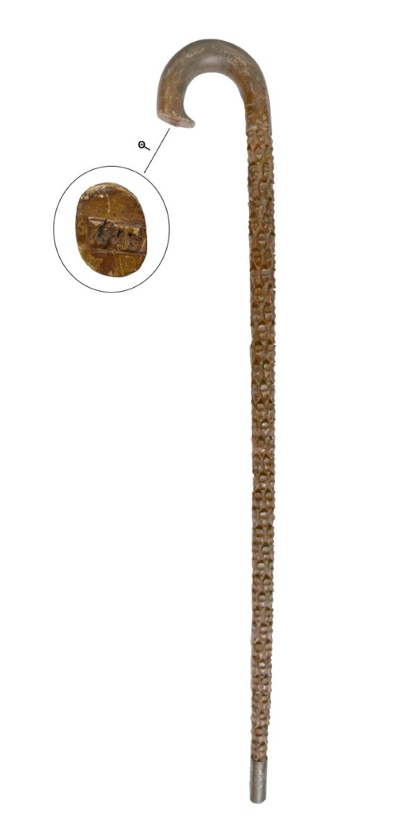 Canne à tête courbe