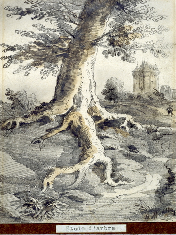 Étude d’Arbre