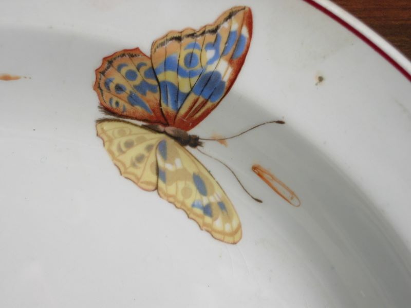 Service dit "aux papillons" (titre factice)